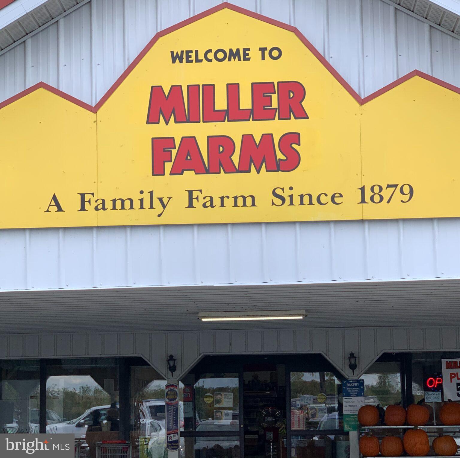 PINE TREE - Residential