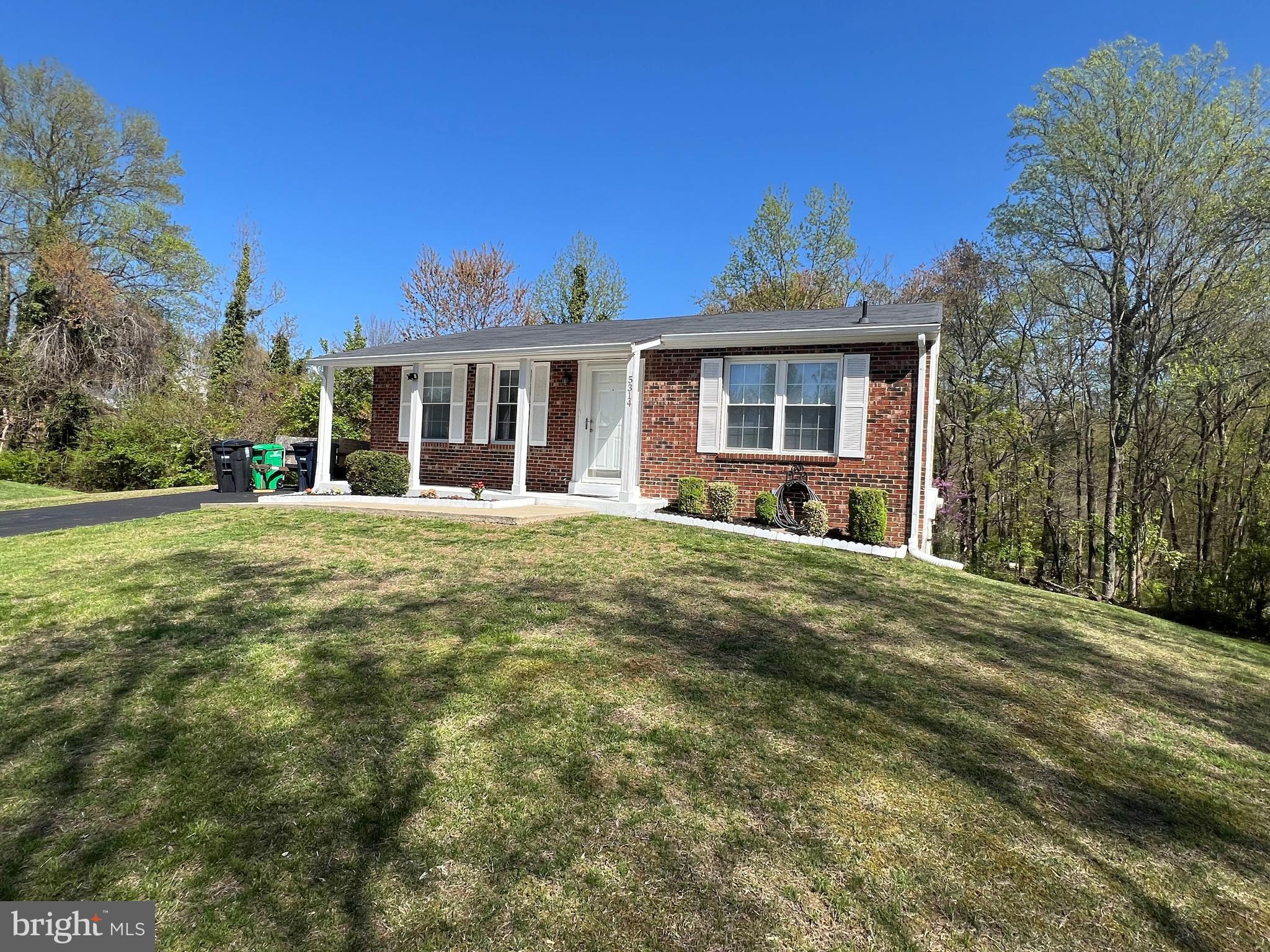 PINE TREE - Residential