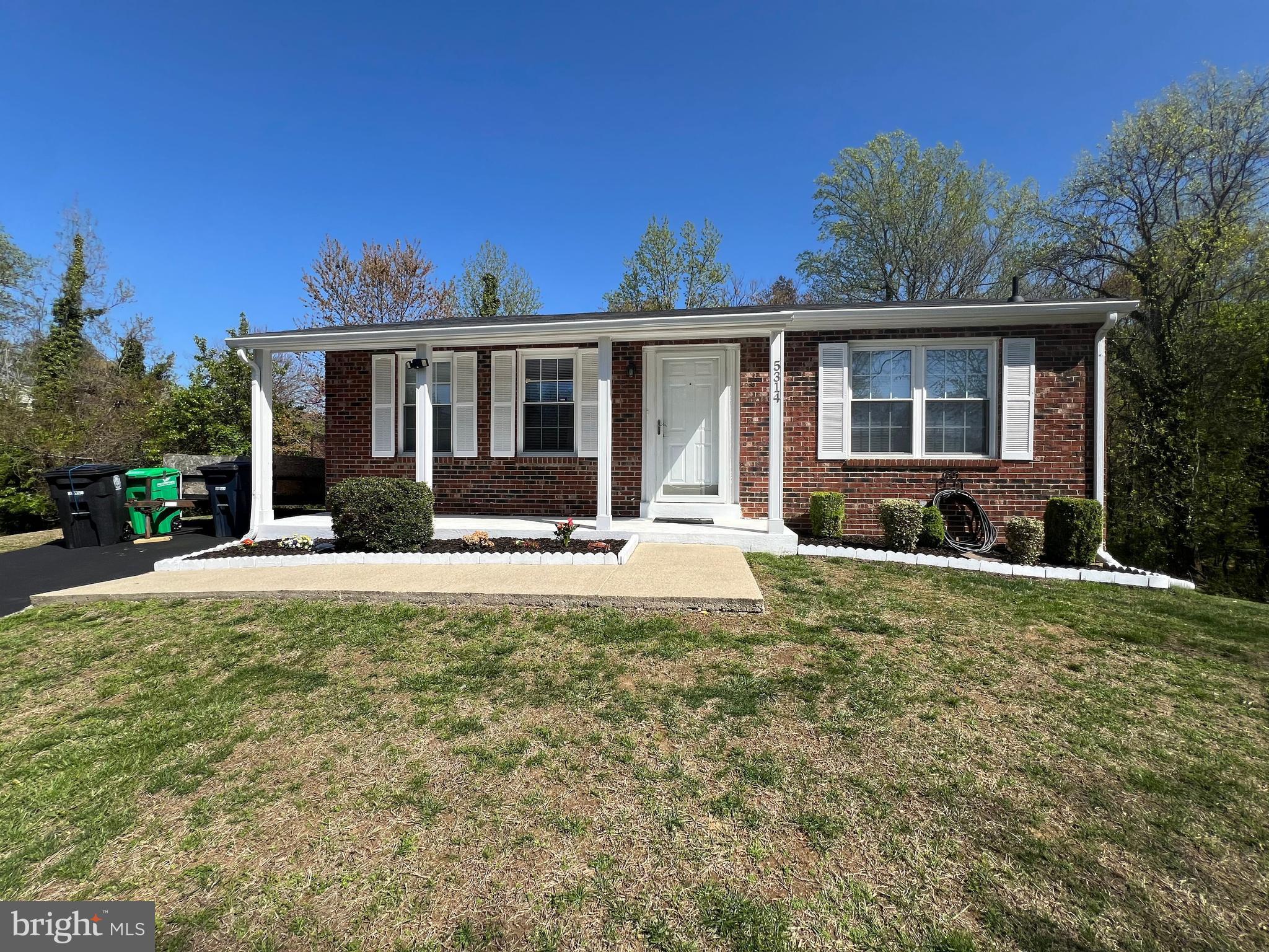 PINE TREE - Residential