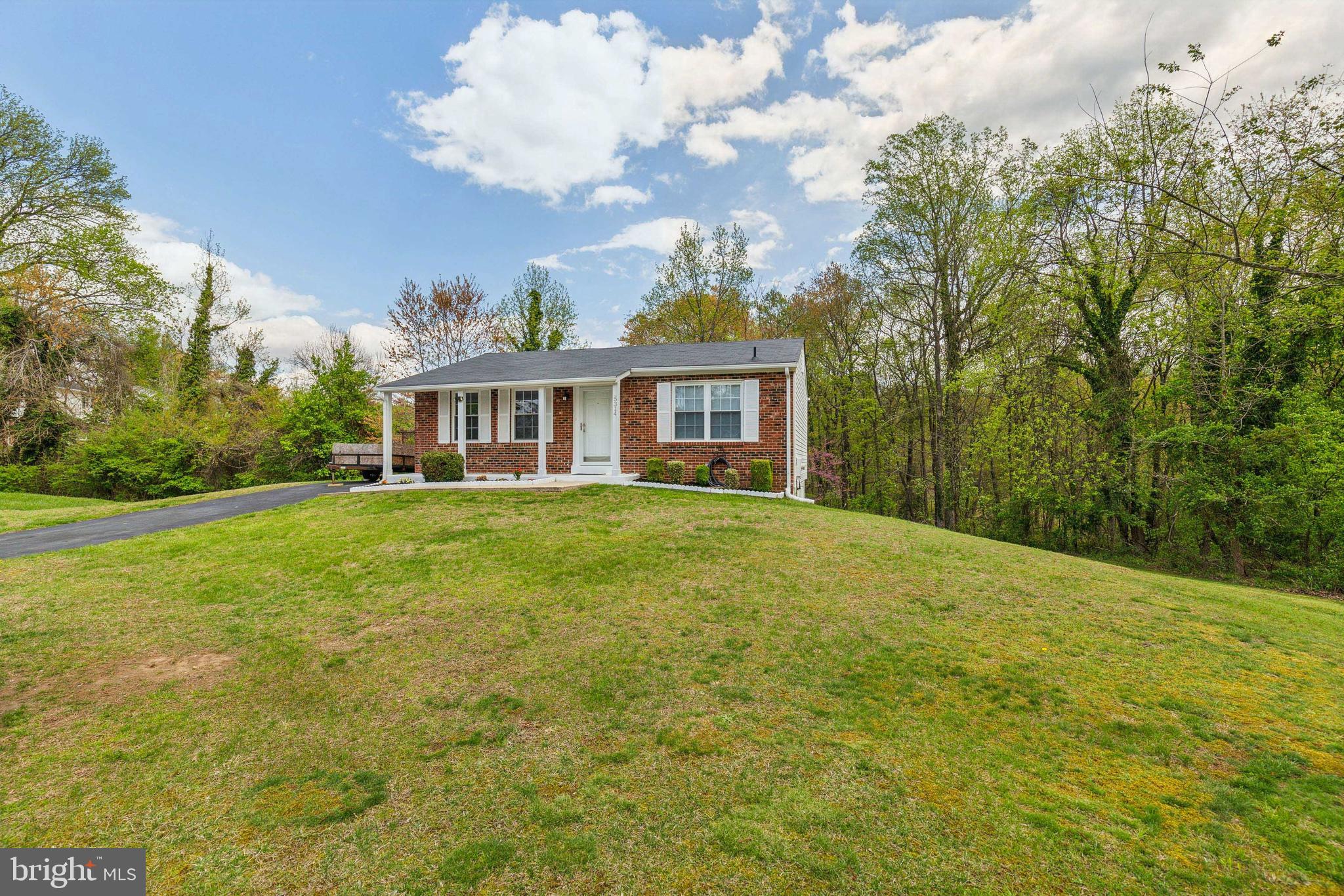 PINE TREE - Residential