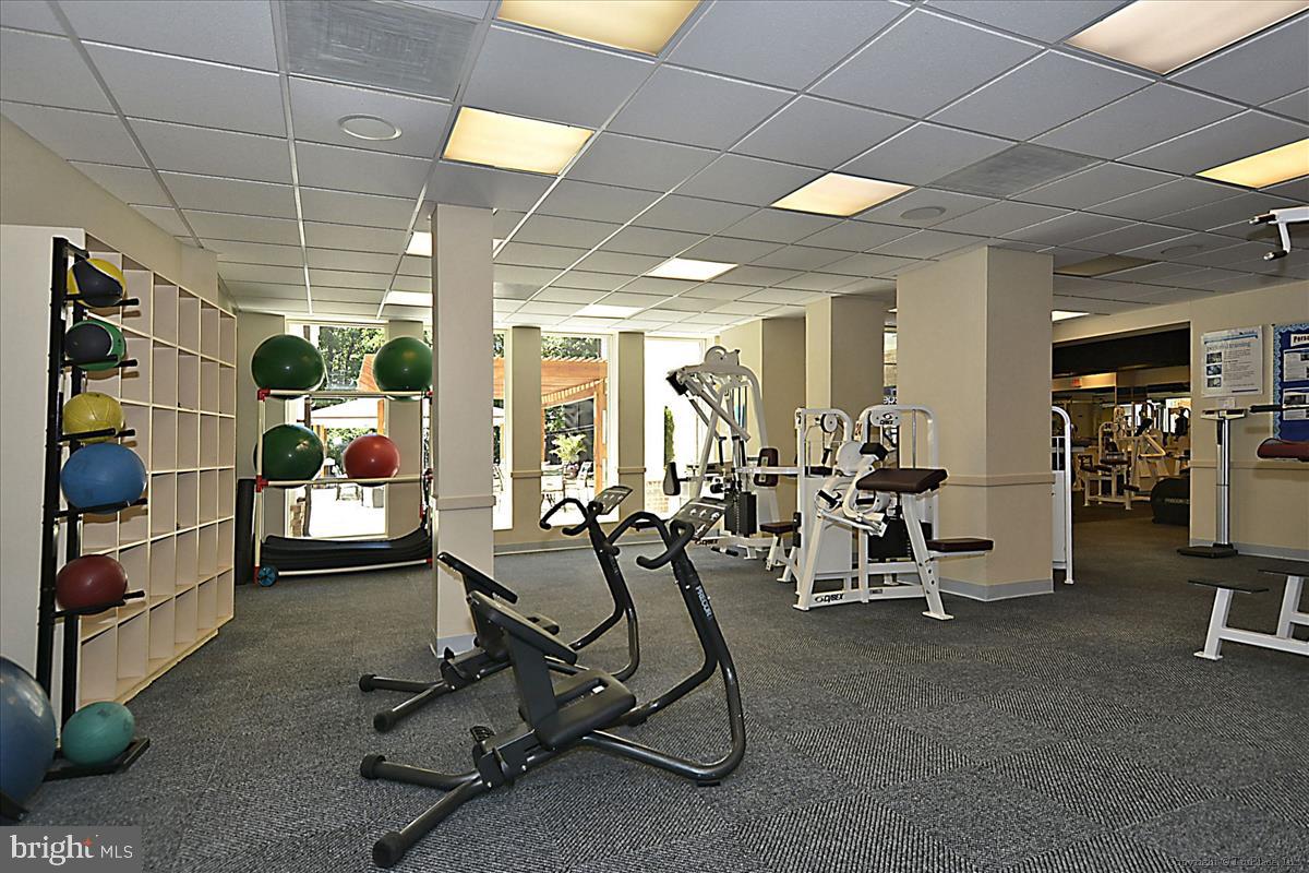 KINGSTOWNE - Residential Lease