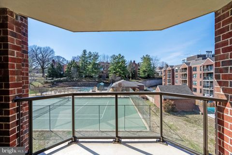 2100 LANGSTON BOULEVARD 428 ARLINGTON VA 22201