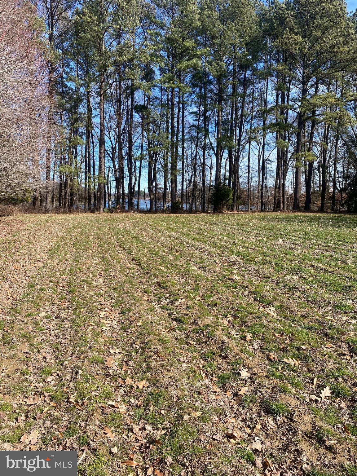 WALNUT POINT ROAD