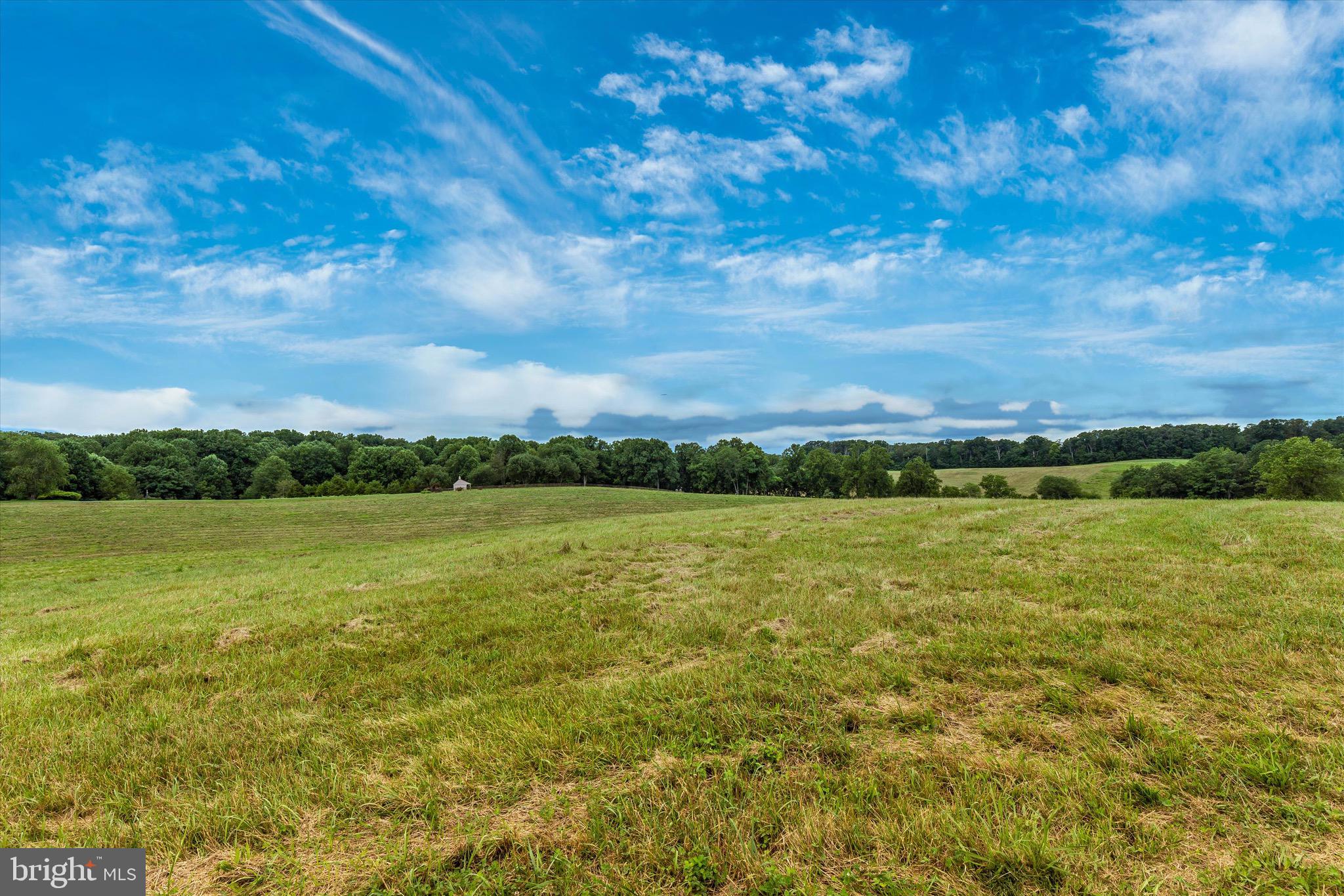 GAITHERSBURG OUTSIDE - Farm