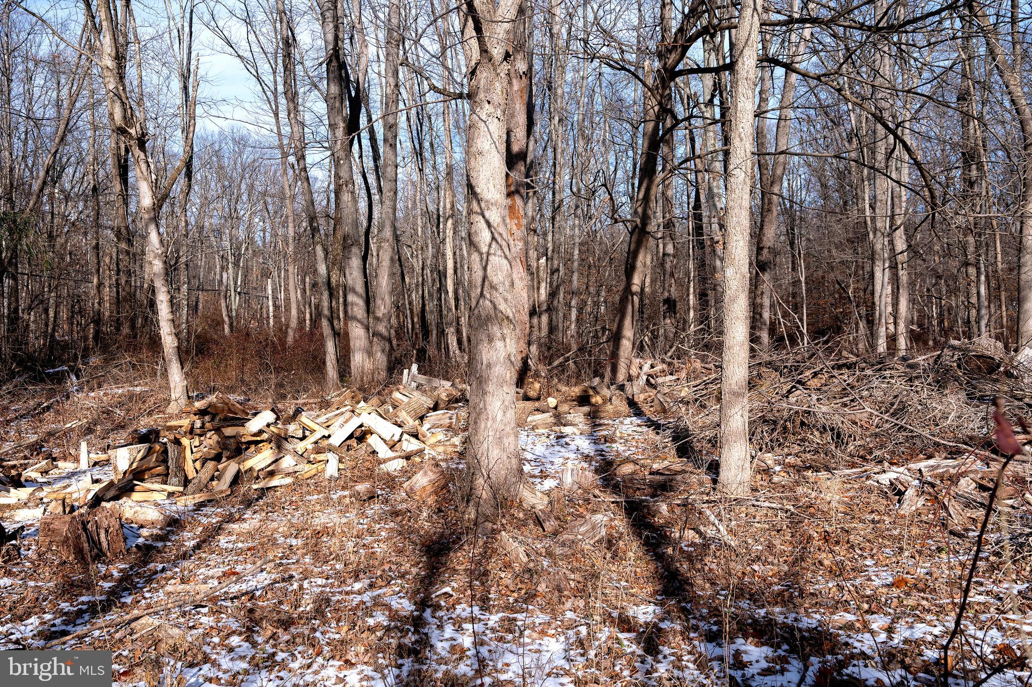 Lot 39 STONY BROOK ROAD