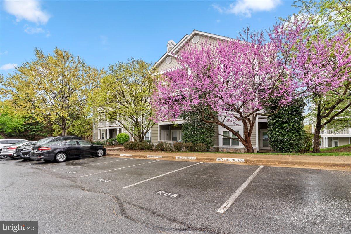 EDGEWATER AT TOWN CENTER - Residential Lease