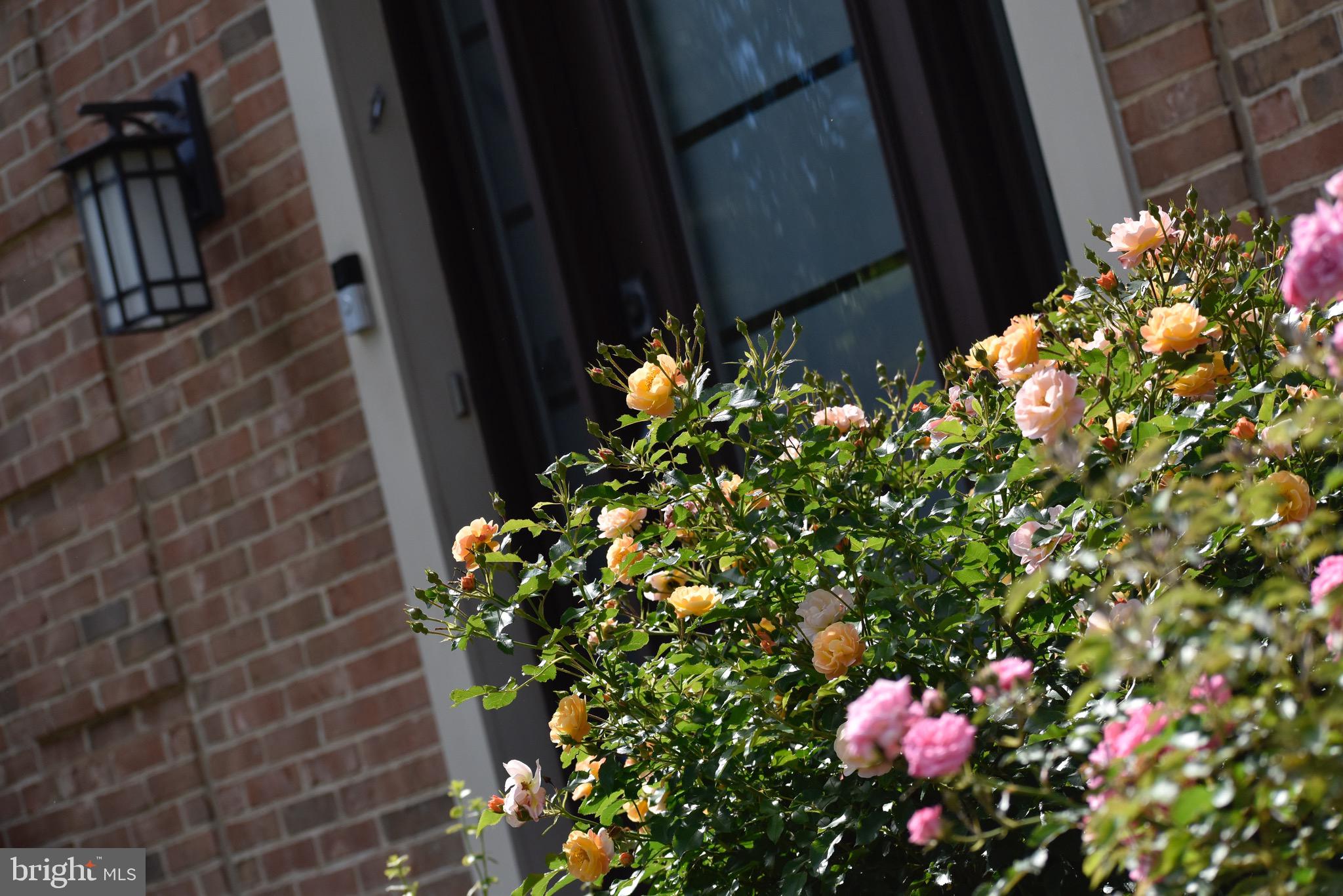 HAMPTON CHASE - Residential