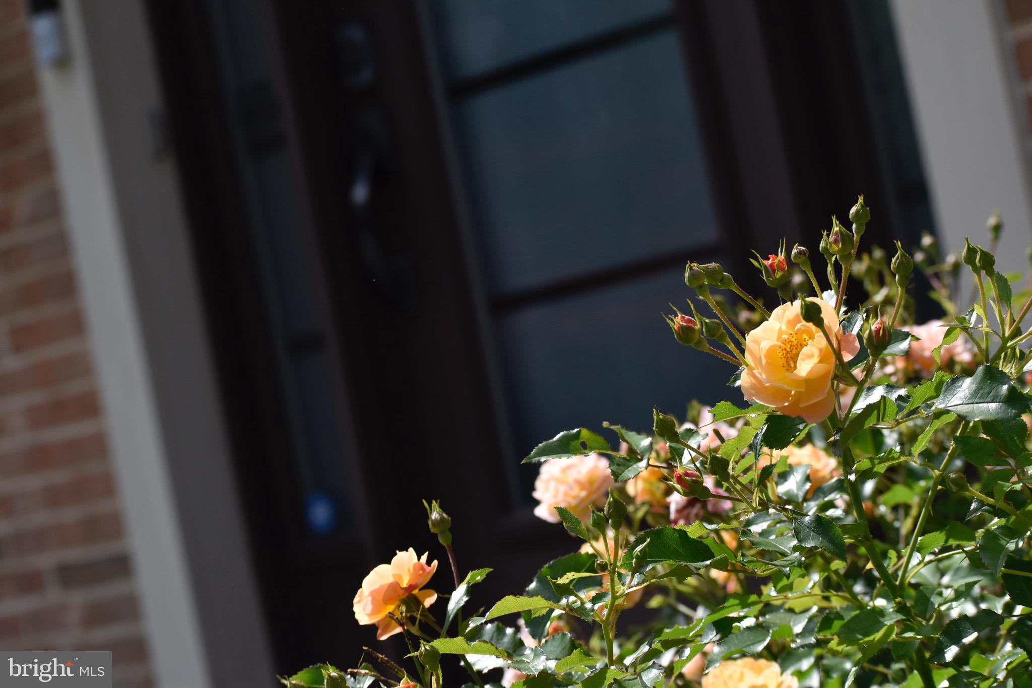 HAMPTON CHASE - Residential