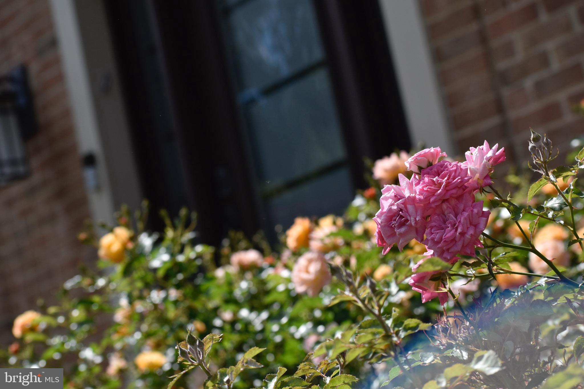 HAMPTON CHASE - Residential