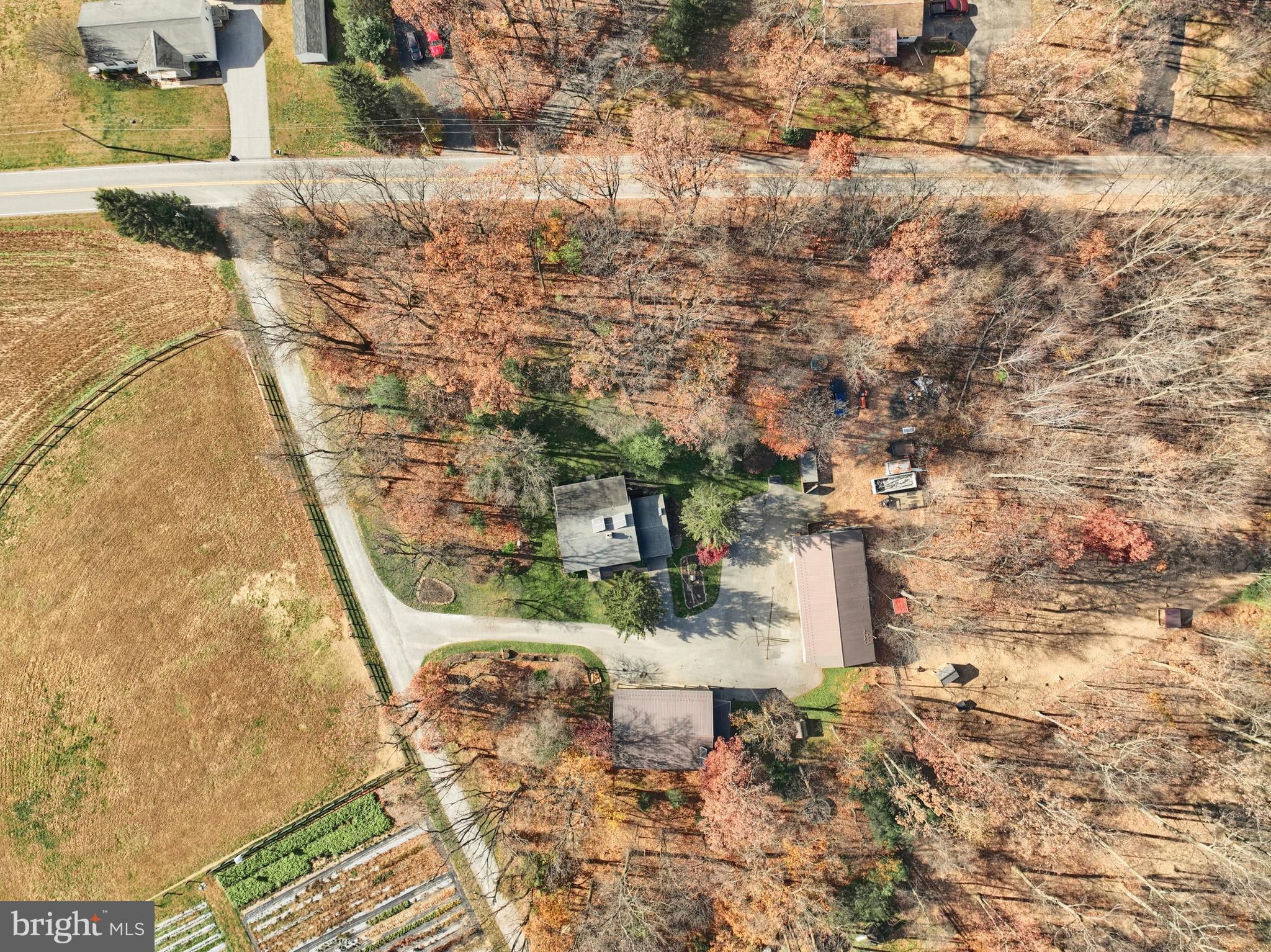 BROGUE - Residential