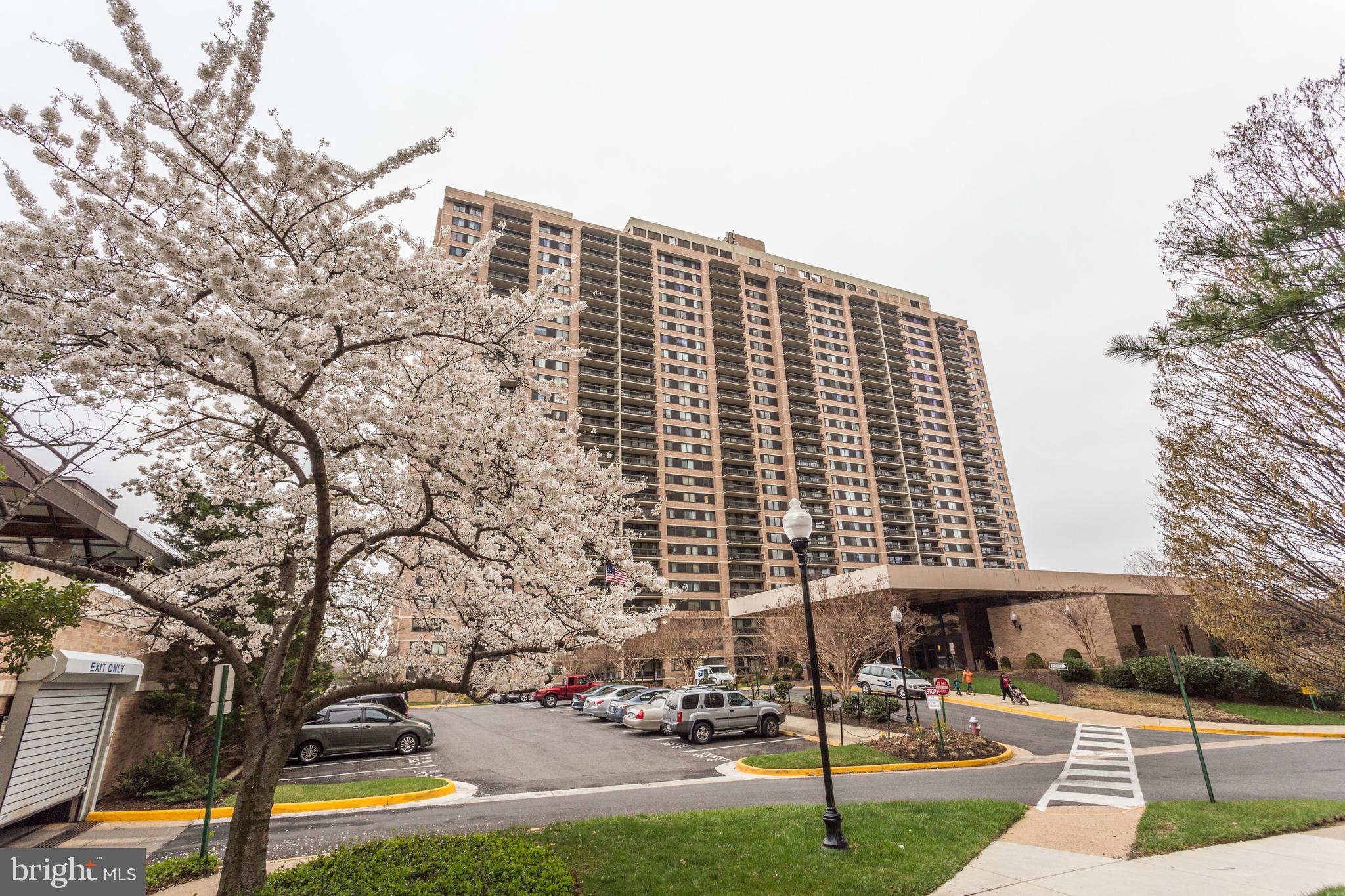 SKYLINE SQUARE CONDO - Residential Lease