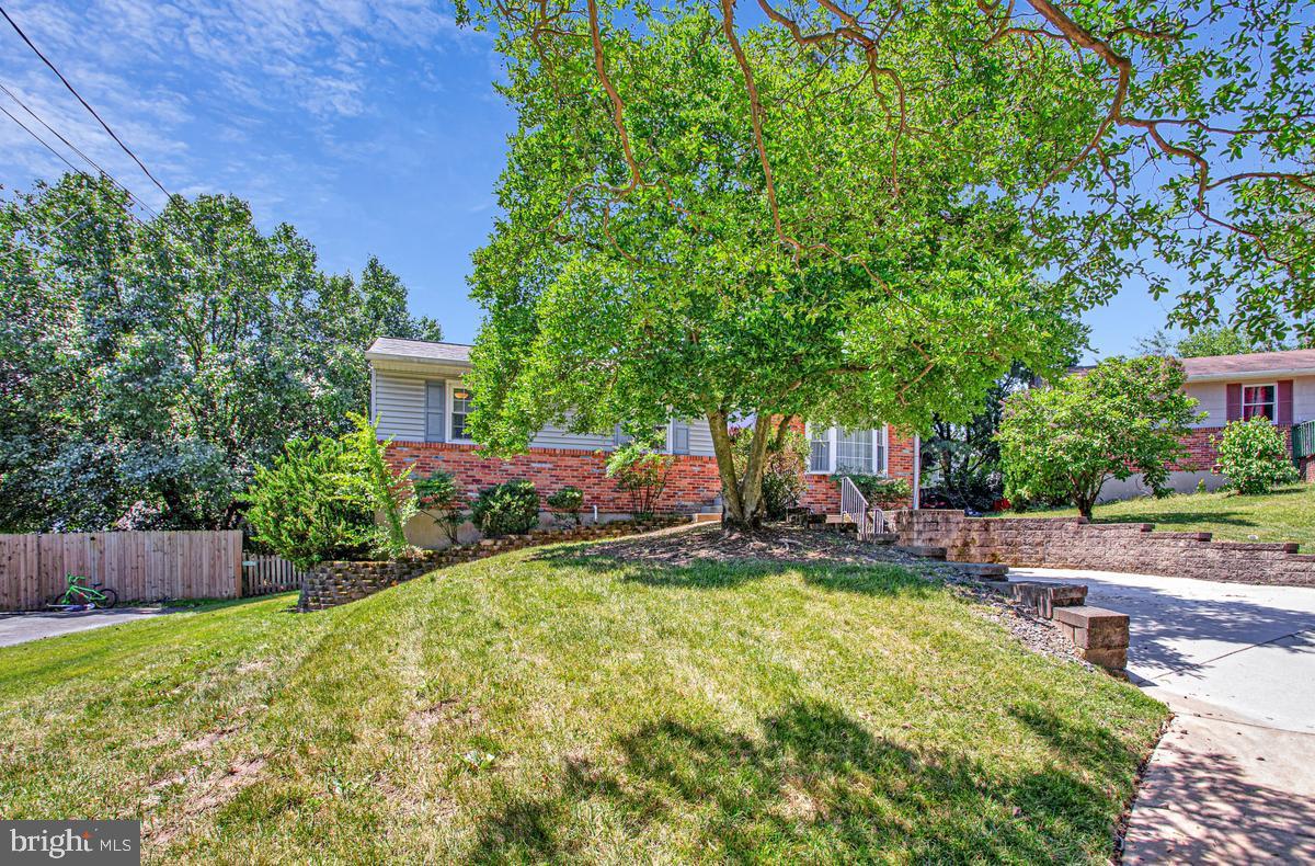 409 ELM AVENUE