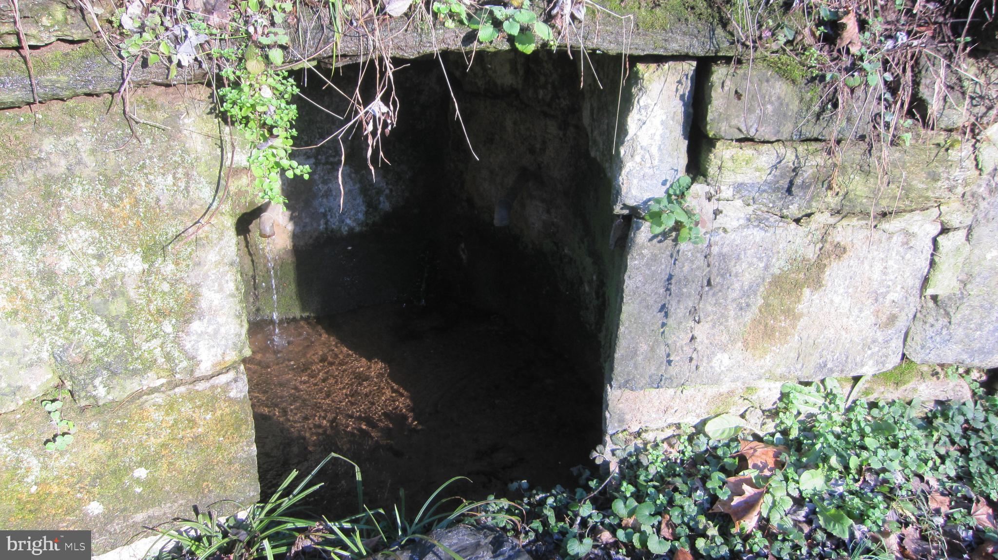 KEEDYSVILLE - Residential