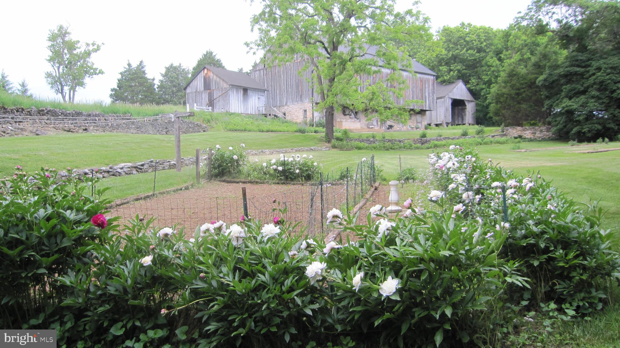 KEEDYSVILLE - Residential