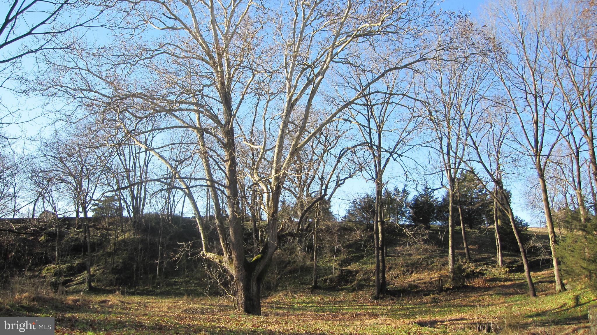 KEEDYSVILLE - Residential