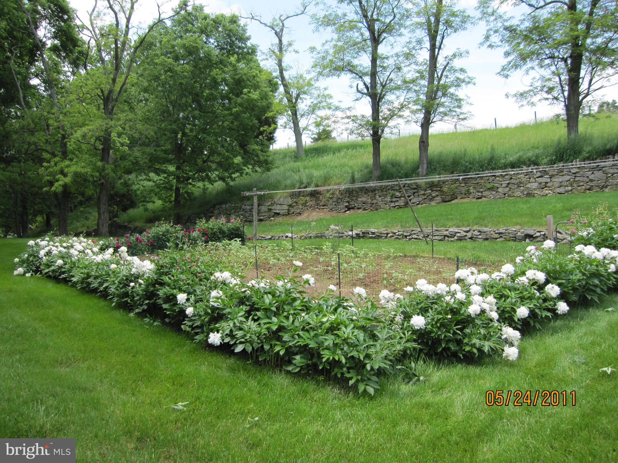 KEEDYSVILLE - Residential