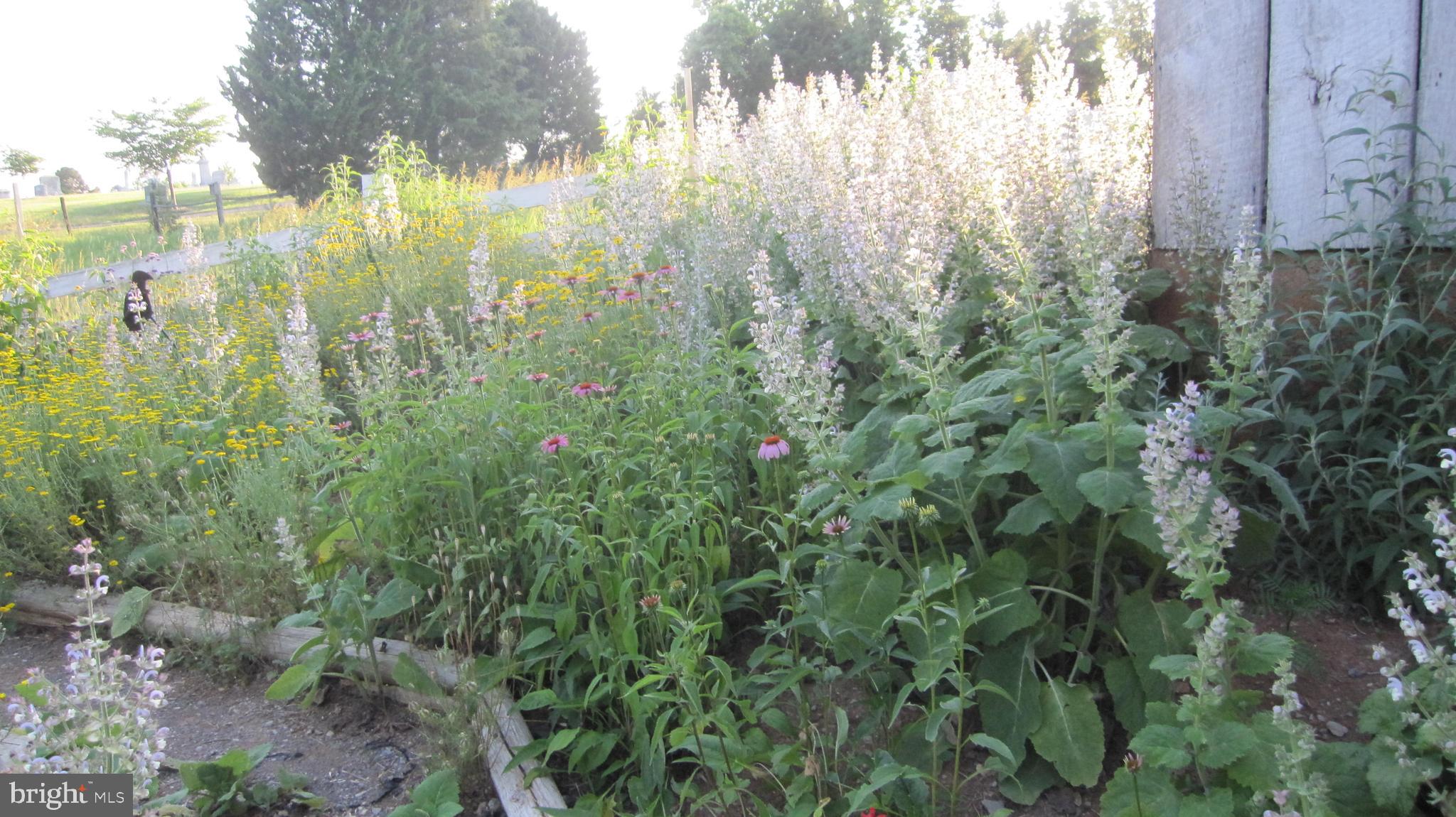 KEEDYSVILLE - Residential