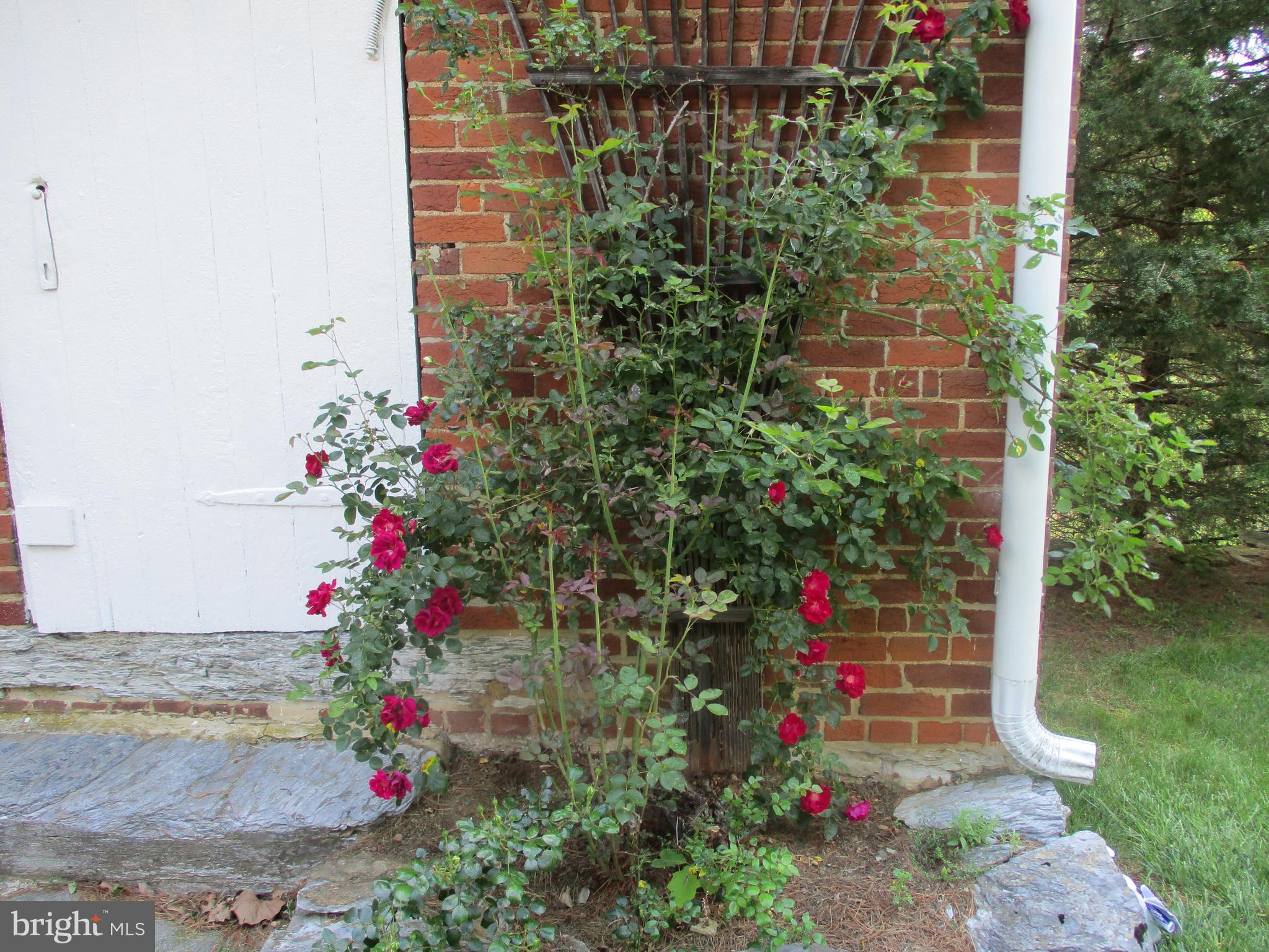 KEEDYSVILLE - Residential