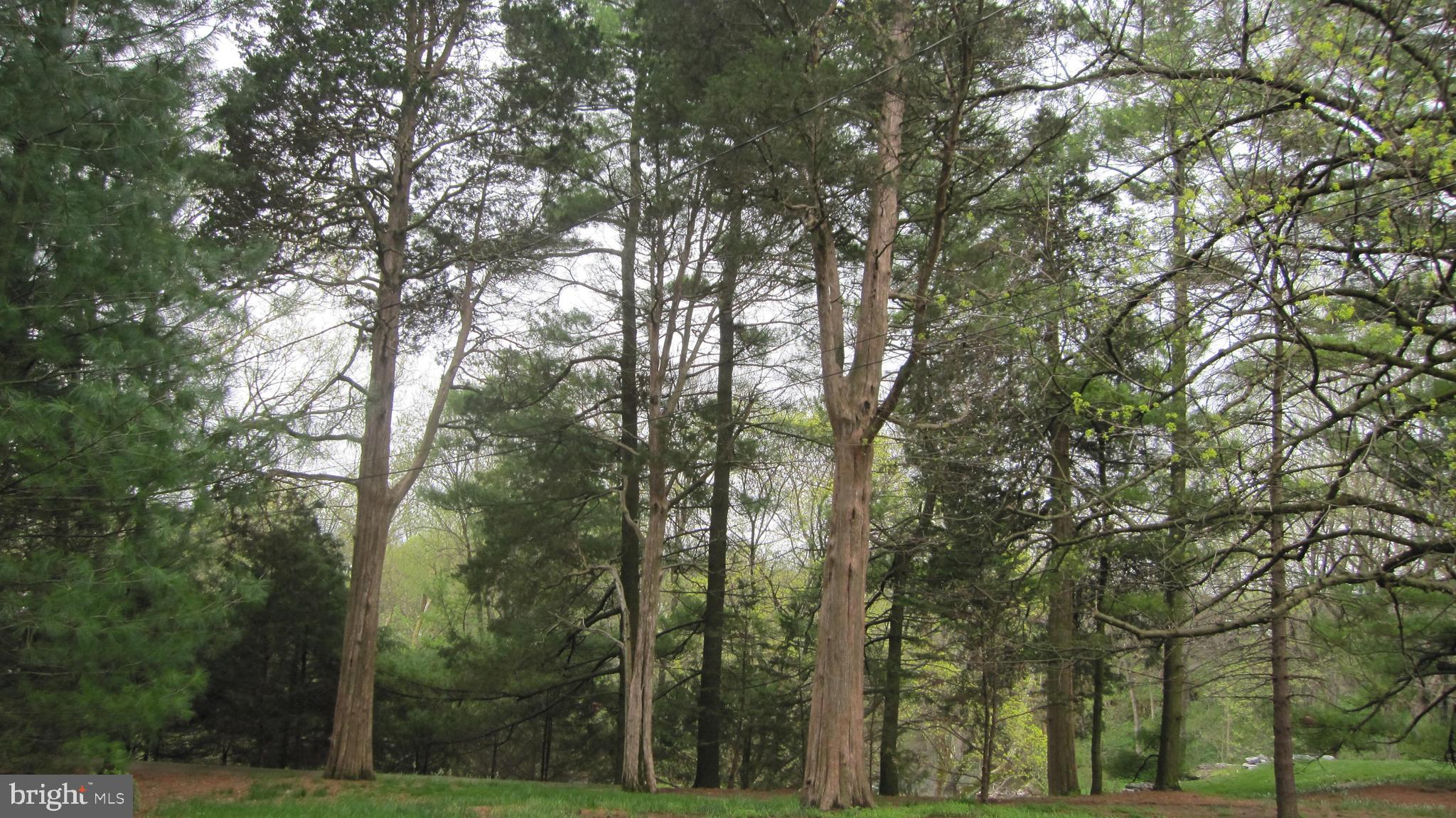 KEEDYSVILLE - Residential