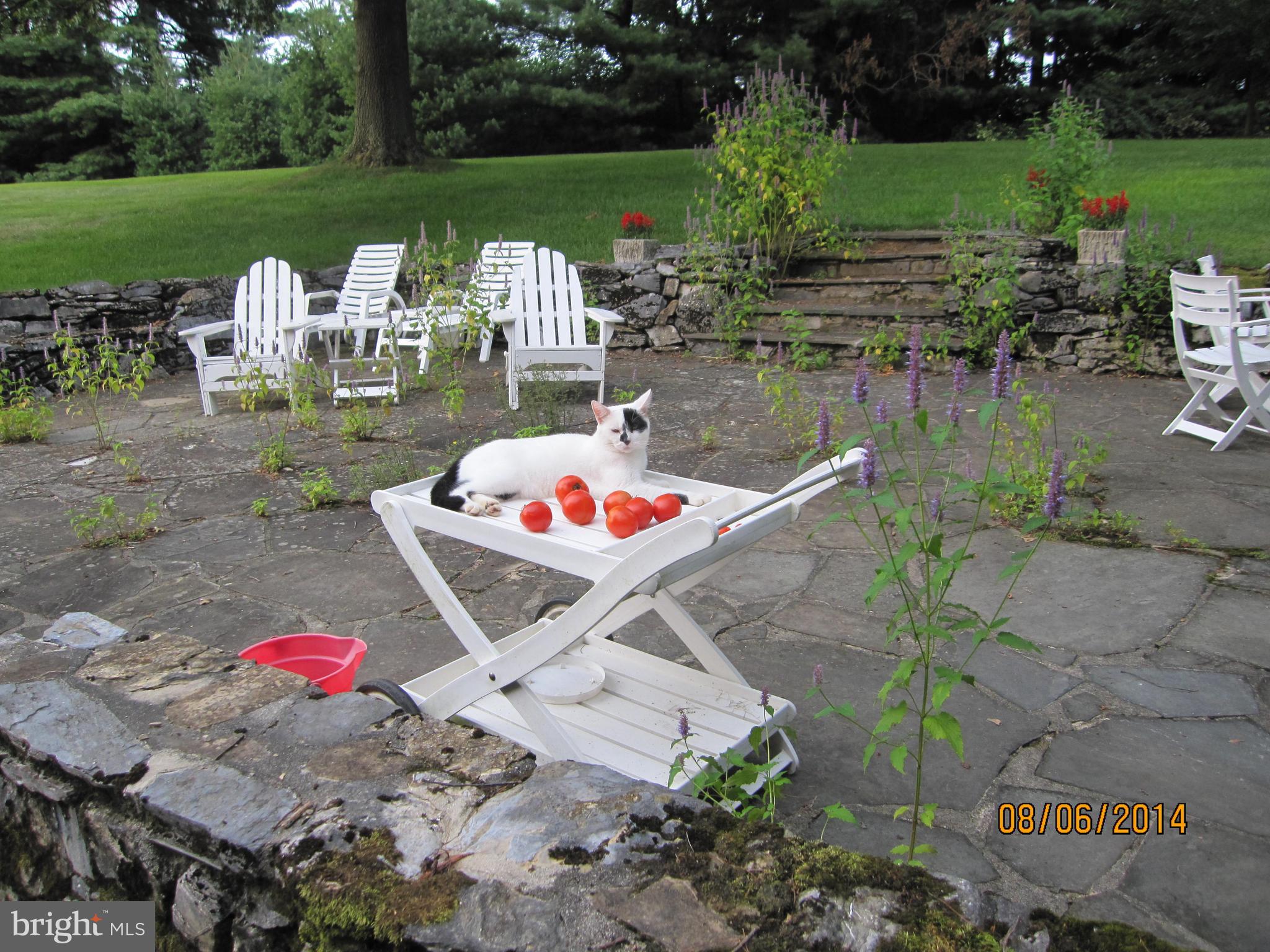 KEEDYSVILLE - Residential