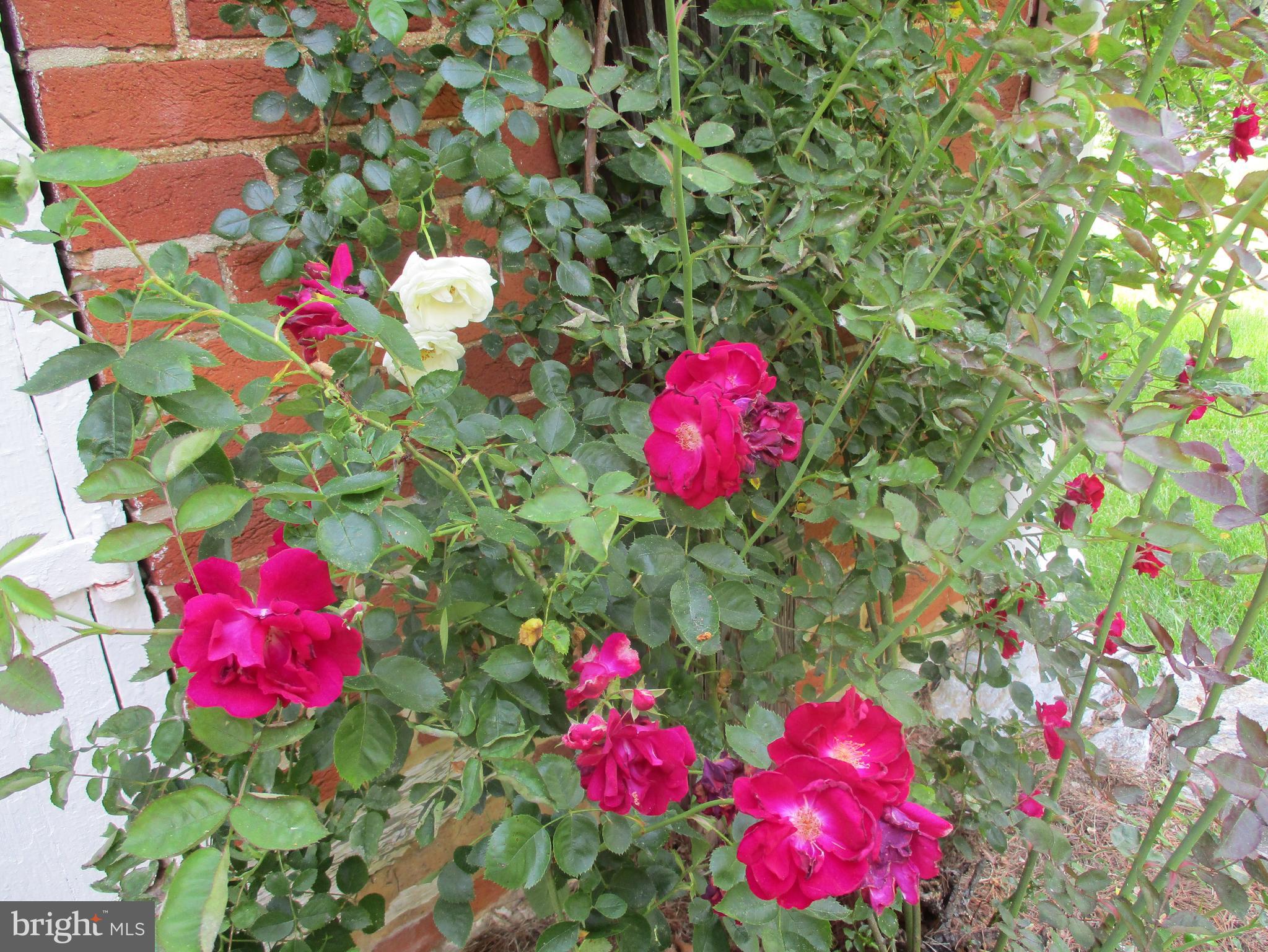 KEEDYSVILLE - Residential