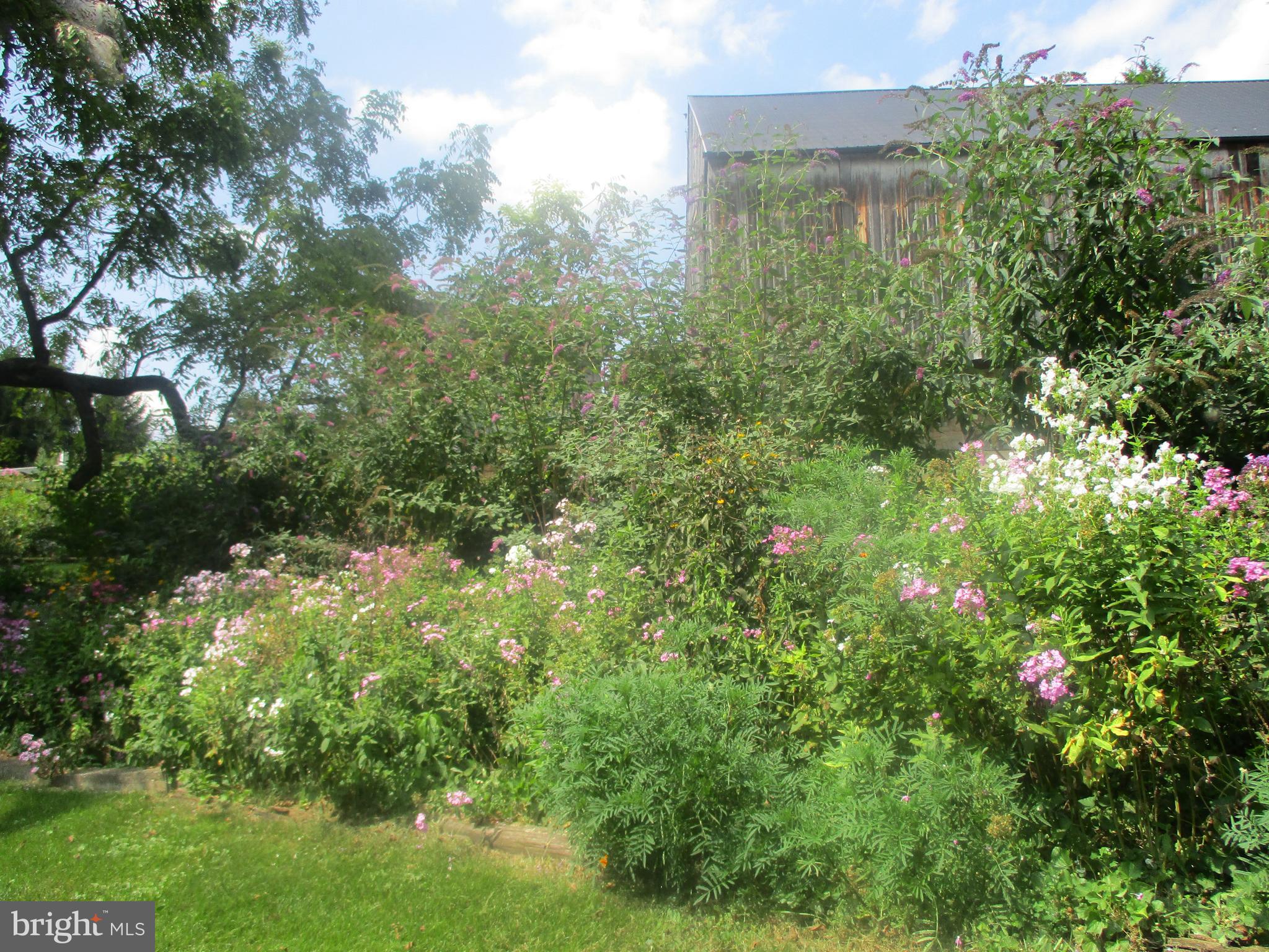 KEEDYSVILLE - Residential