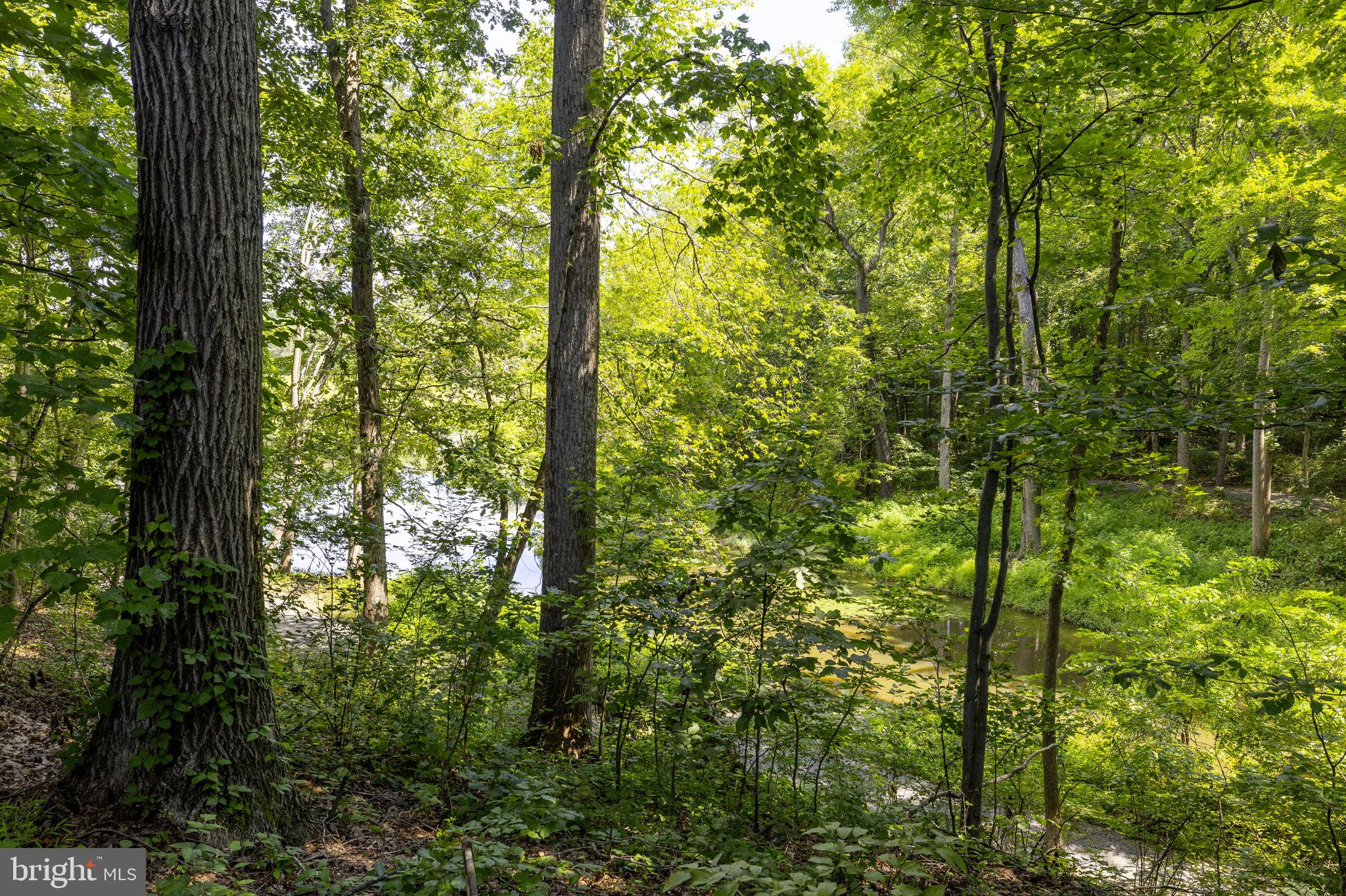 5723 WATERS EDGE LANDING COURT
