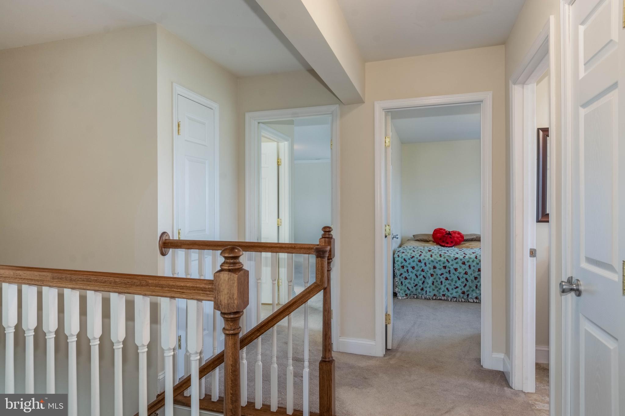 WILLOWDALE - Residential