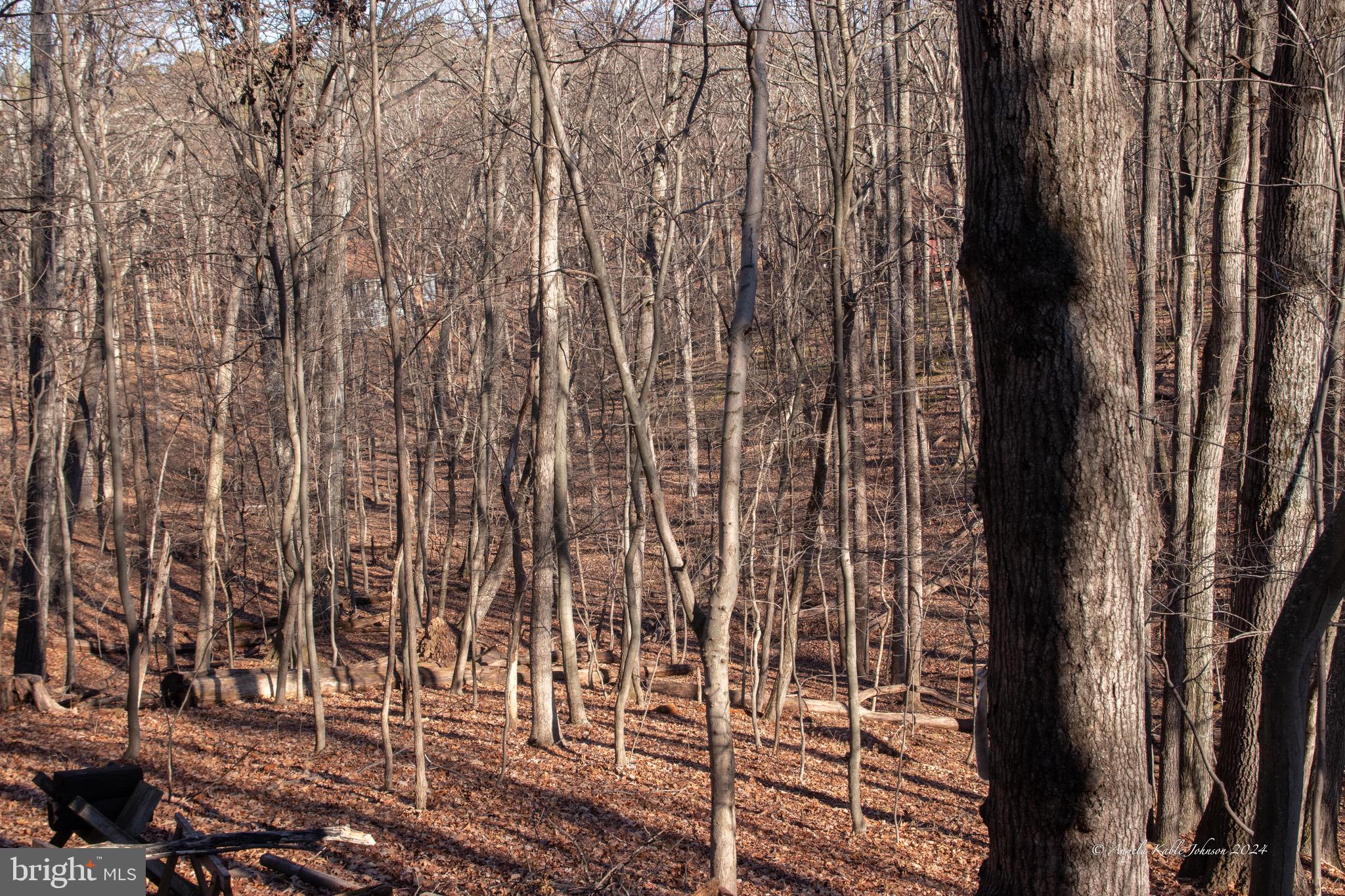 THE WOODS RESORT - Residential