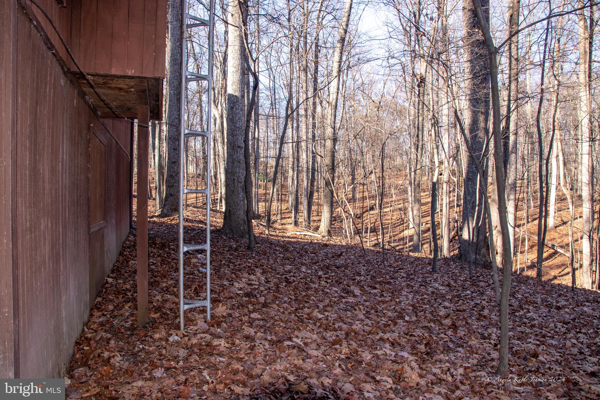 THE WOODS RESORT - Residential