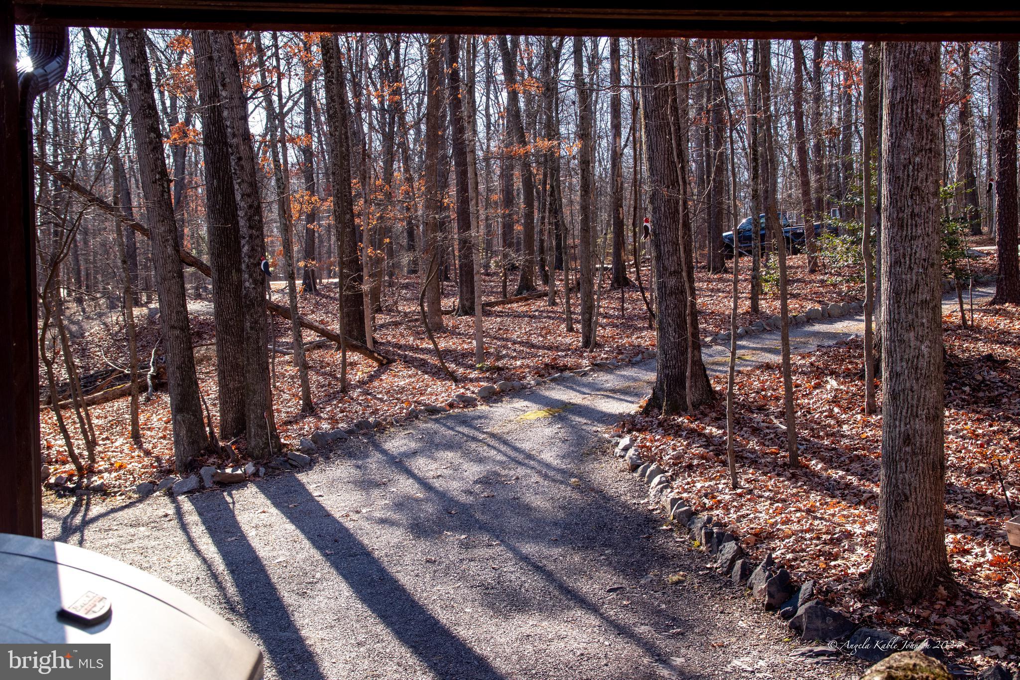 THE WOODS RESORT - Residential