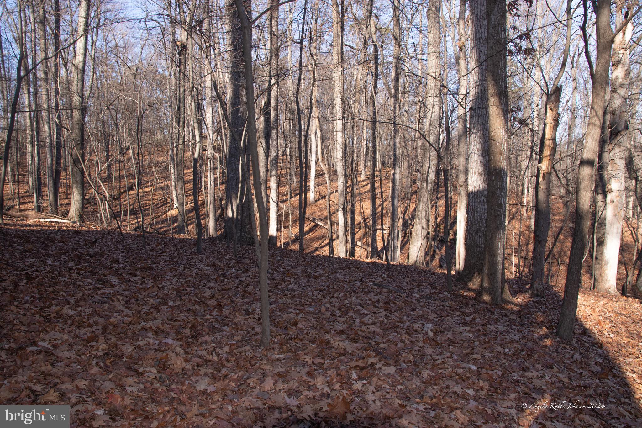 THE WOODS RESORT - Residential