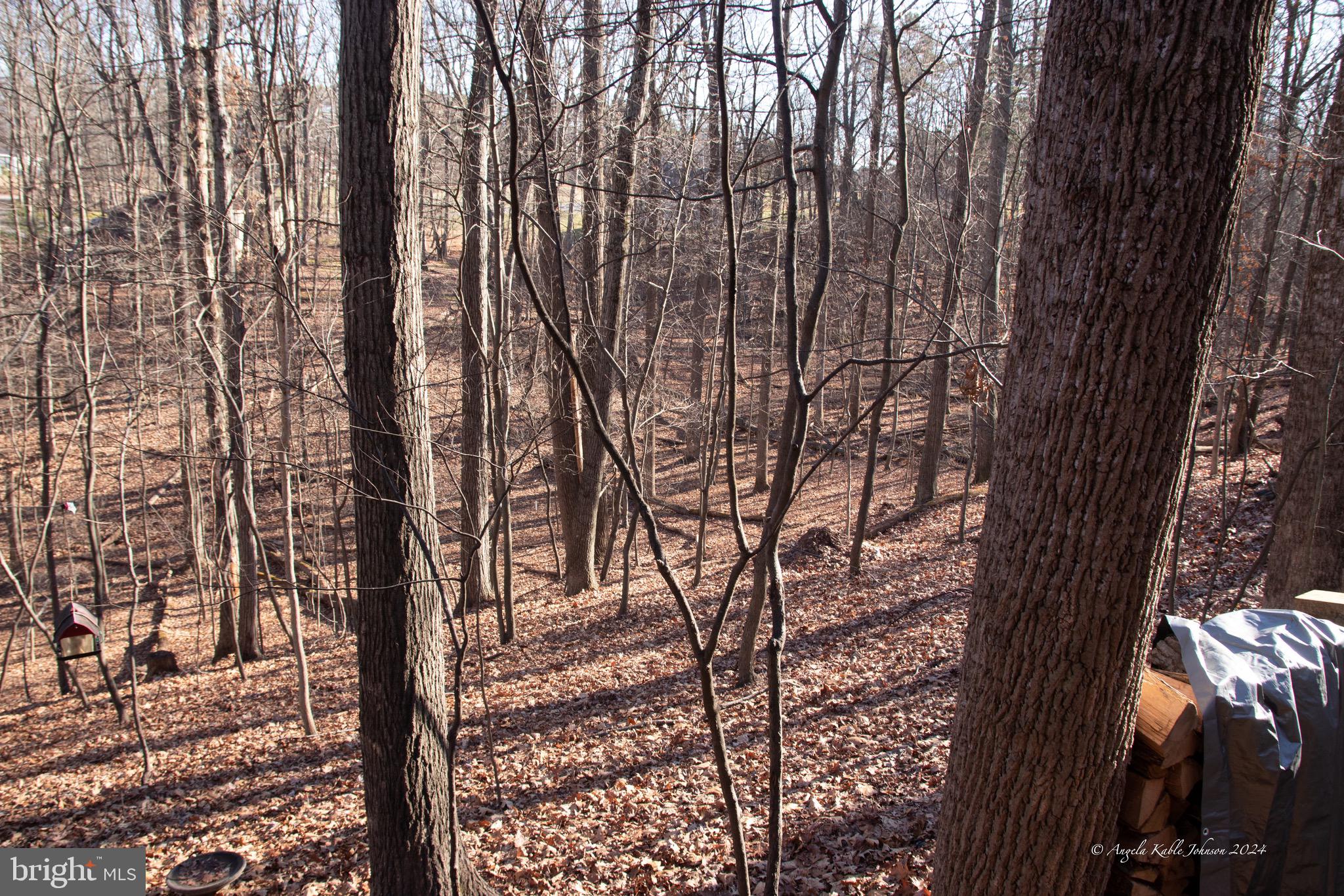 THE WOODS RESORT - Residential