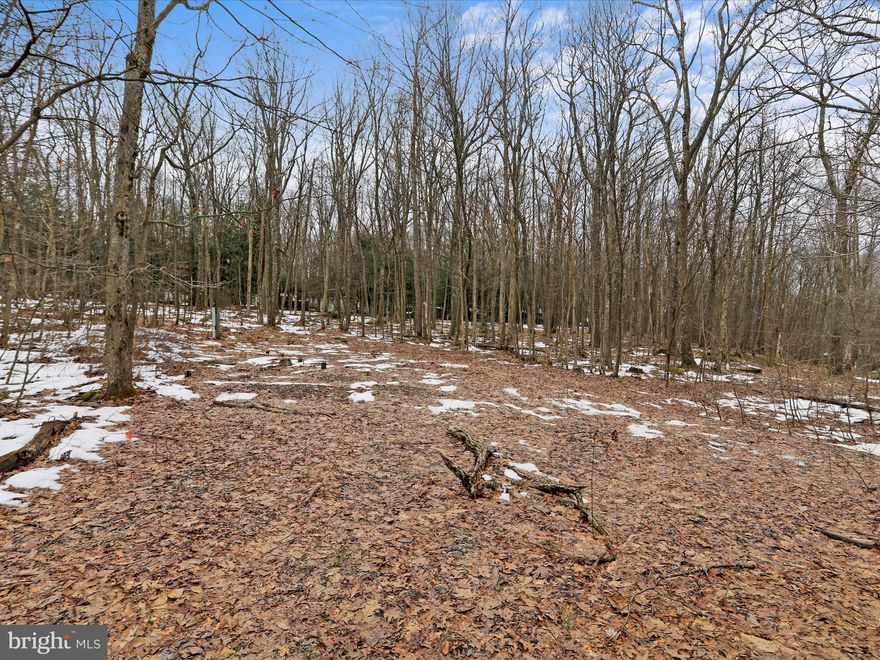 The perfect lot to build your dream vacation home or permanent residence! This prime property is already equipped with septic, power, and water—making the building process even easier. Conveniently located near Wisp Ski Resort, championship golf courses, and the stunning Deep Creek Lake, this lot offers year-round recreation right at your doorstep. Whether you’re skiing in the winter, boating in the summer, or simply enjoying the peaceful mountain surroundings, this location has it all. Best of all, there are no HOA fees, giving you the freedom to create your ideal retreat without restrictions. Don’t miss this incredible opportunity to own a ready-to-build piece of paradise!