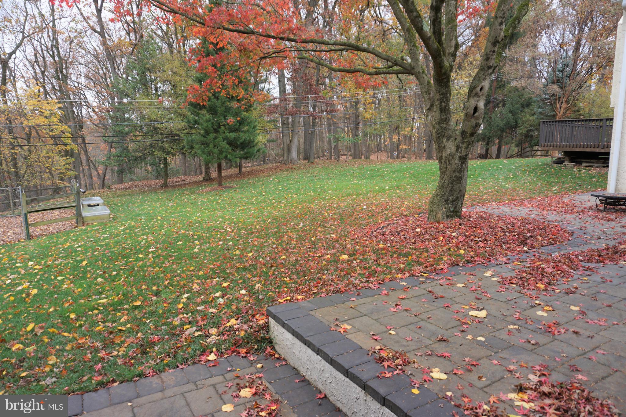 BERWYN DOWNS - Residential