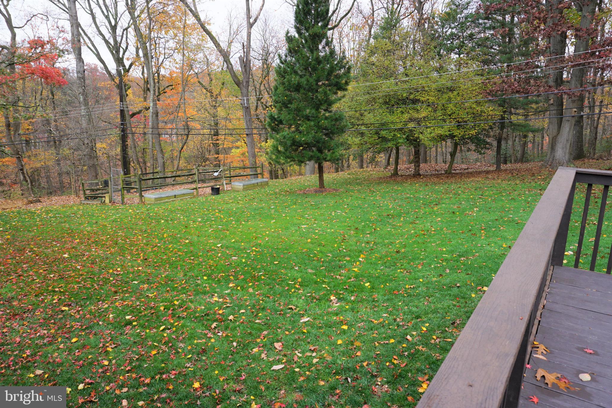 BERWYN DOWNS - Residential