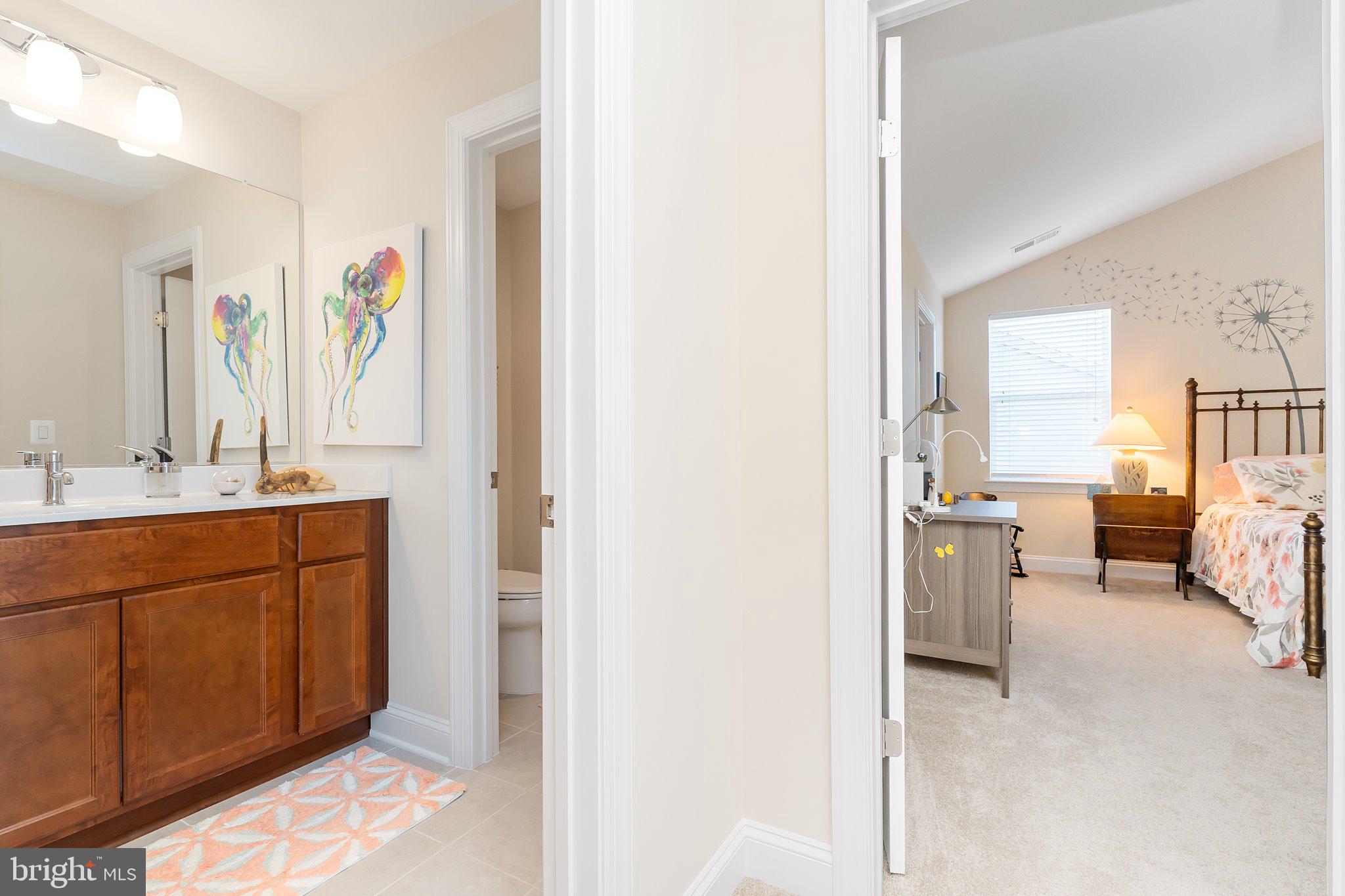 LAKE FREDERICK - Residential