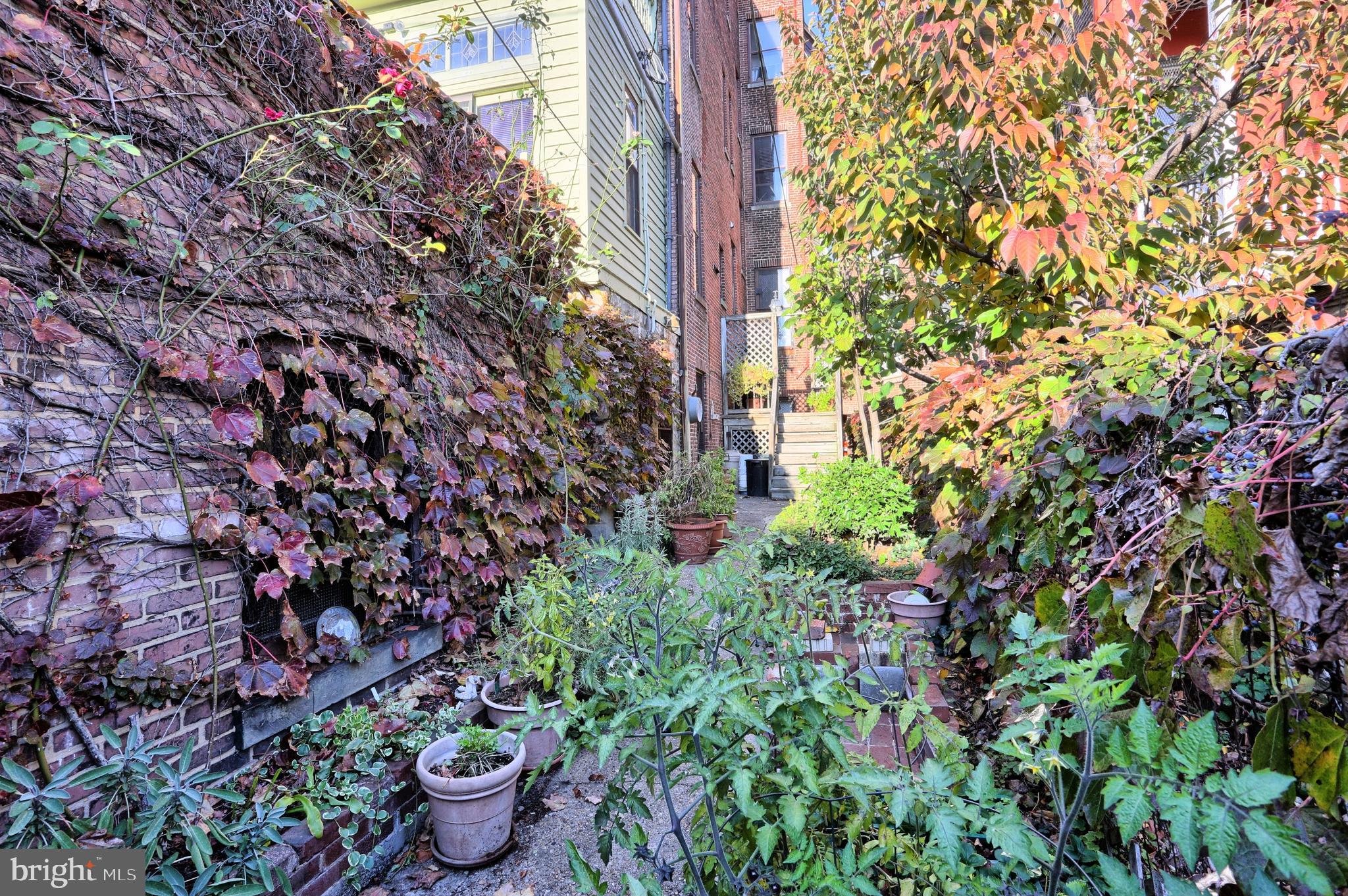 BOLTON HILL HISTORIC DISTRICT - Residential