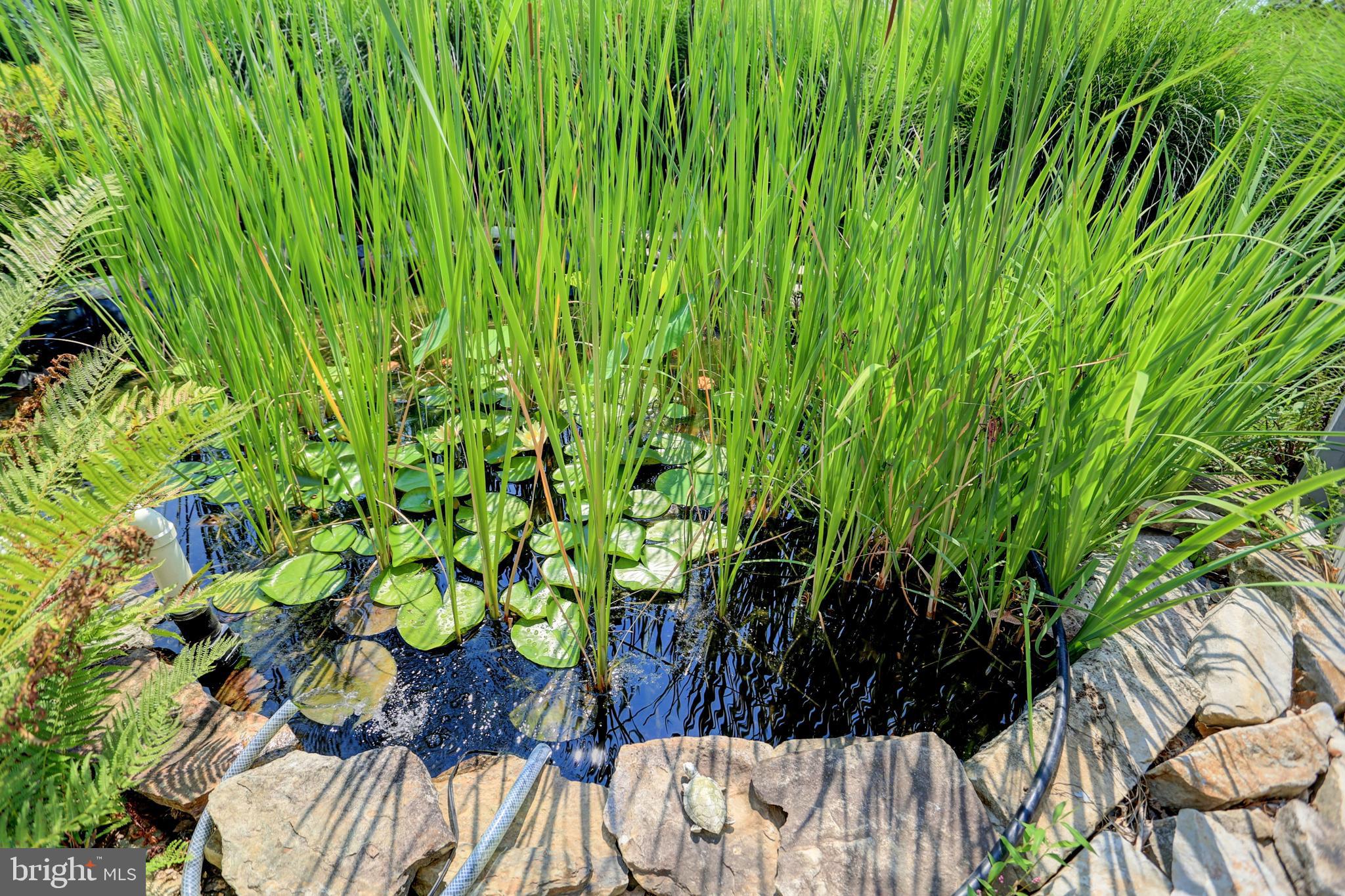 COUNTRY CLUB - Residential