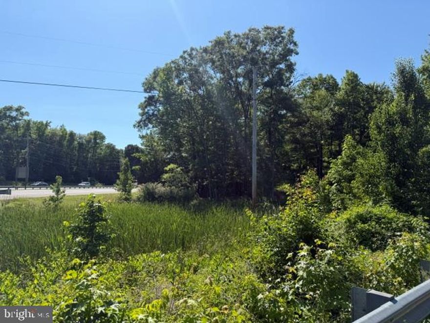 Let your imagination run wild.  Multiple opportunities to develop this lot.   Public water and sewer hook-up available.  Close to new homes, food establishments and more.