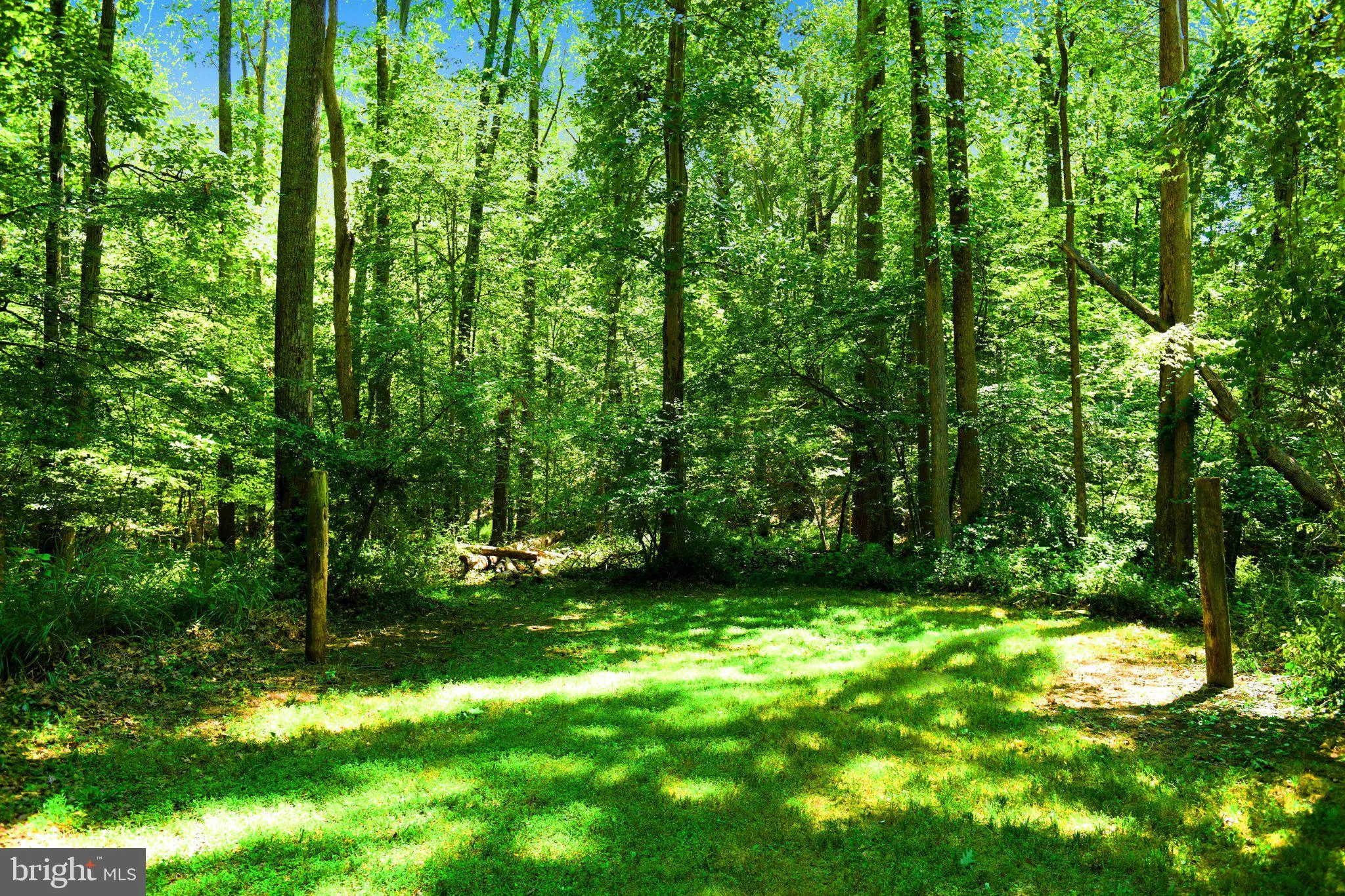 509 Prospect Mill Road