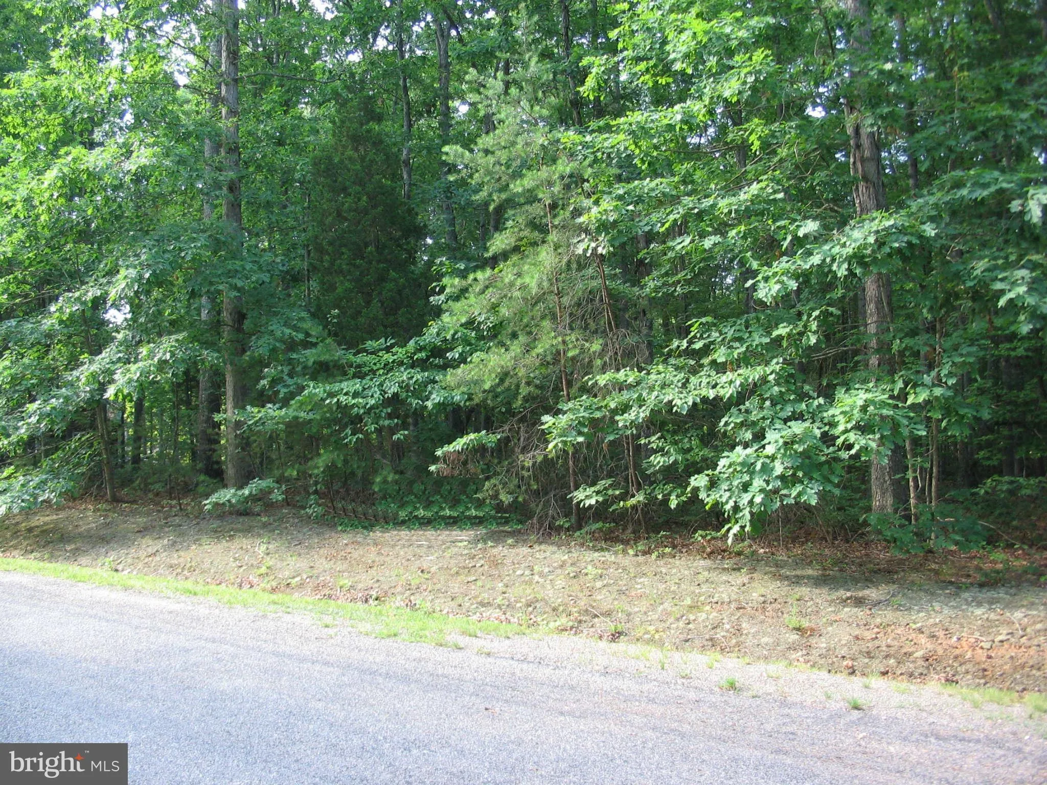 Additional image 2 of Toby's Run, Mineral, VA 23117