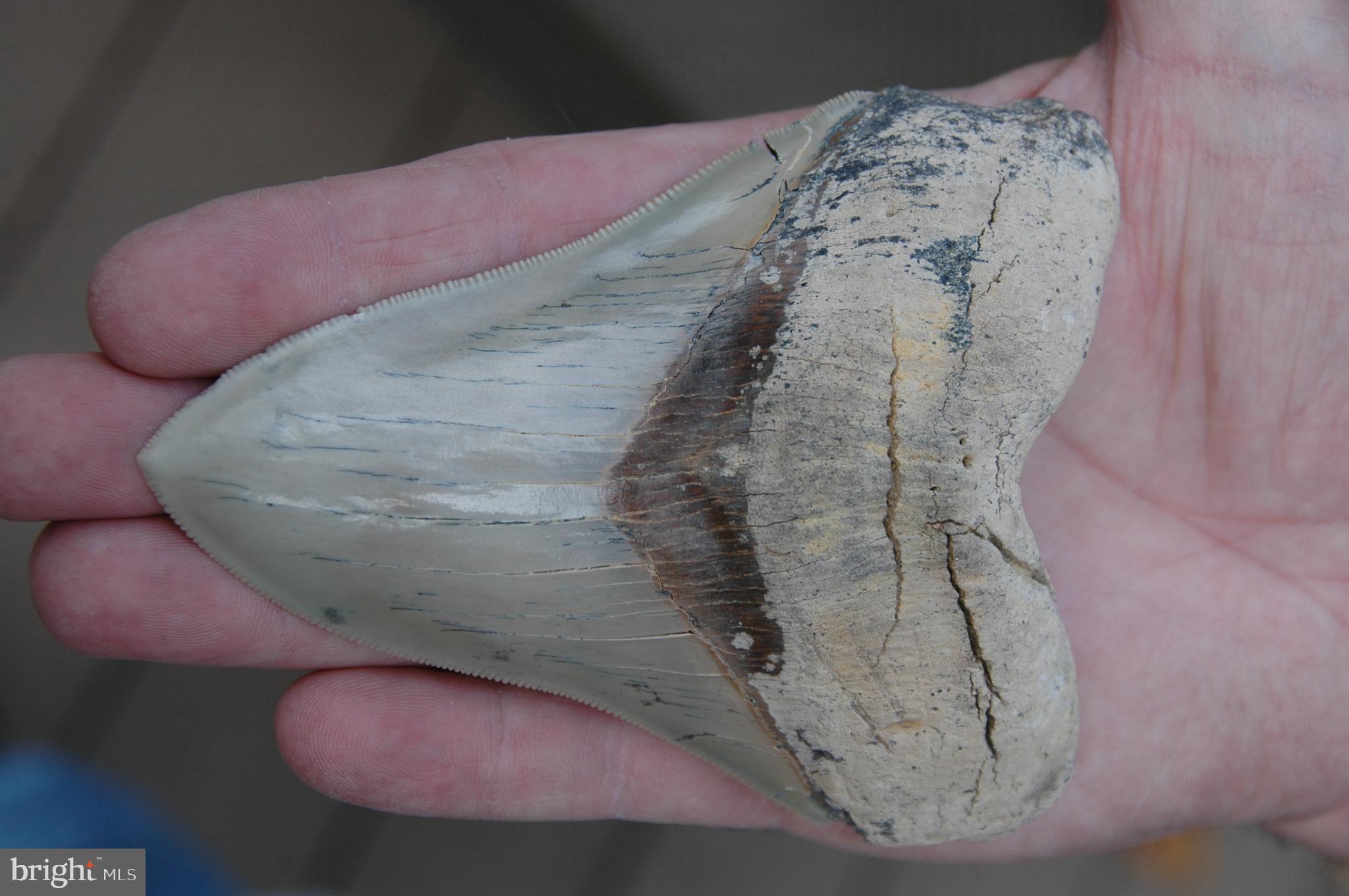 LAKE KARYLBROOK - Residential