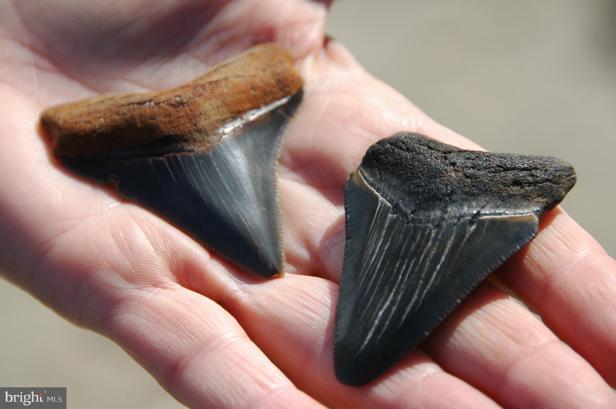 LAKE KARYLBROOK - Residential