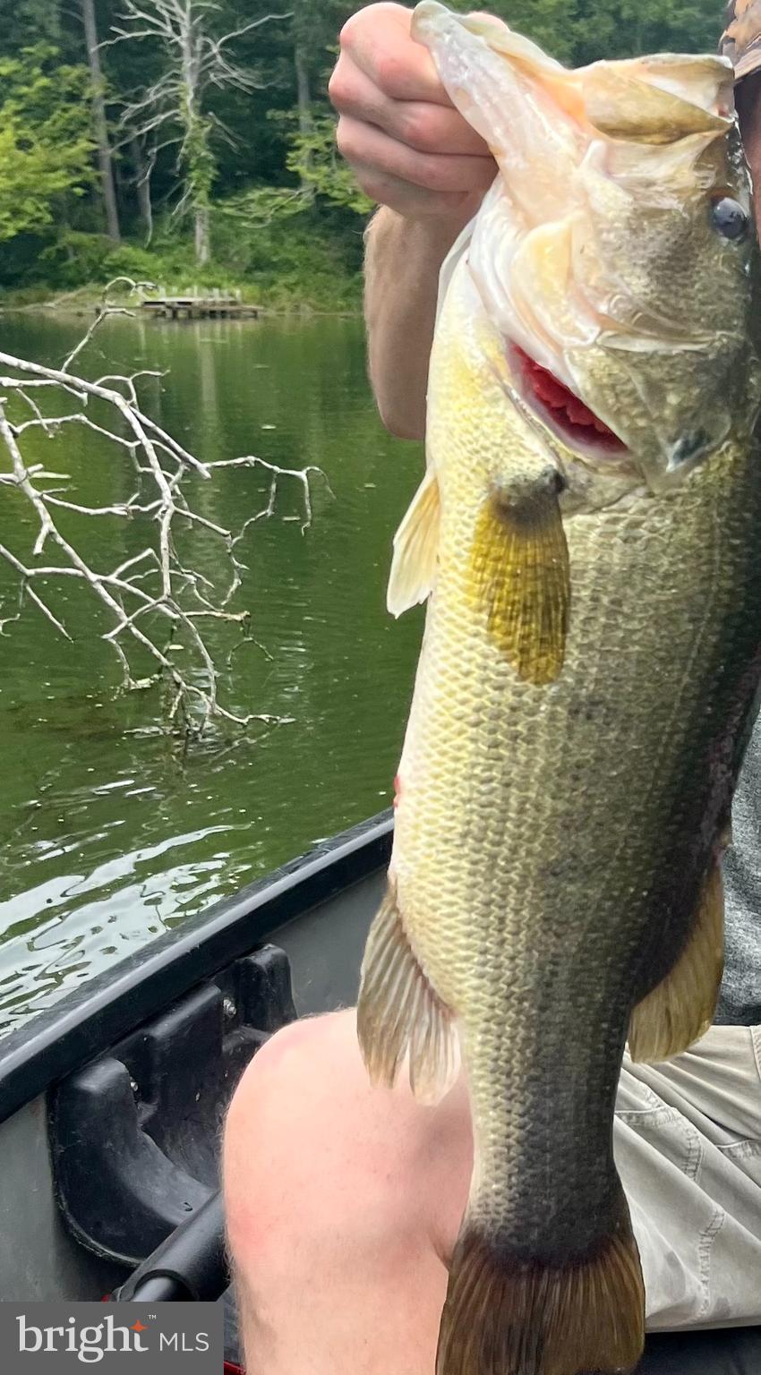 LAKE KARYLBROOK - Residential