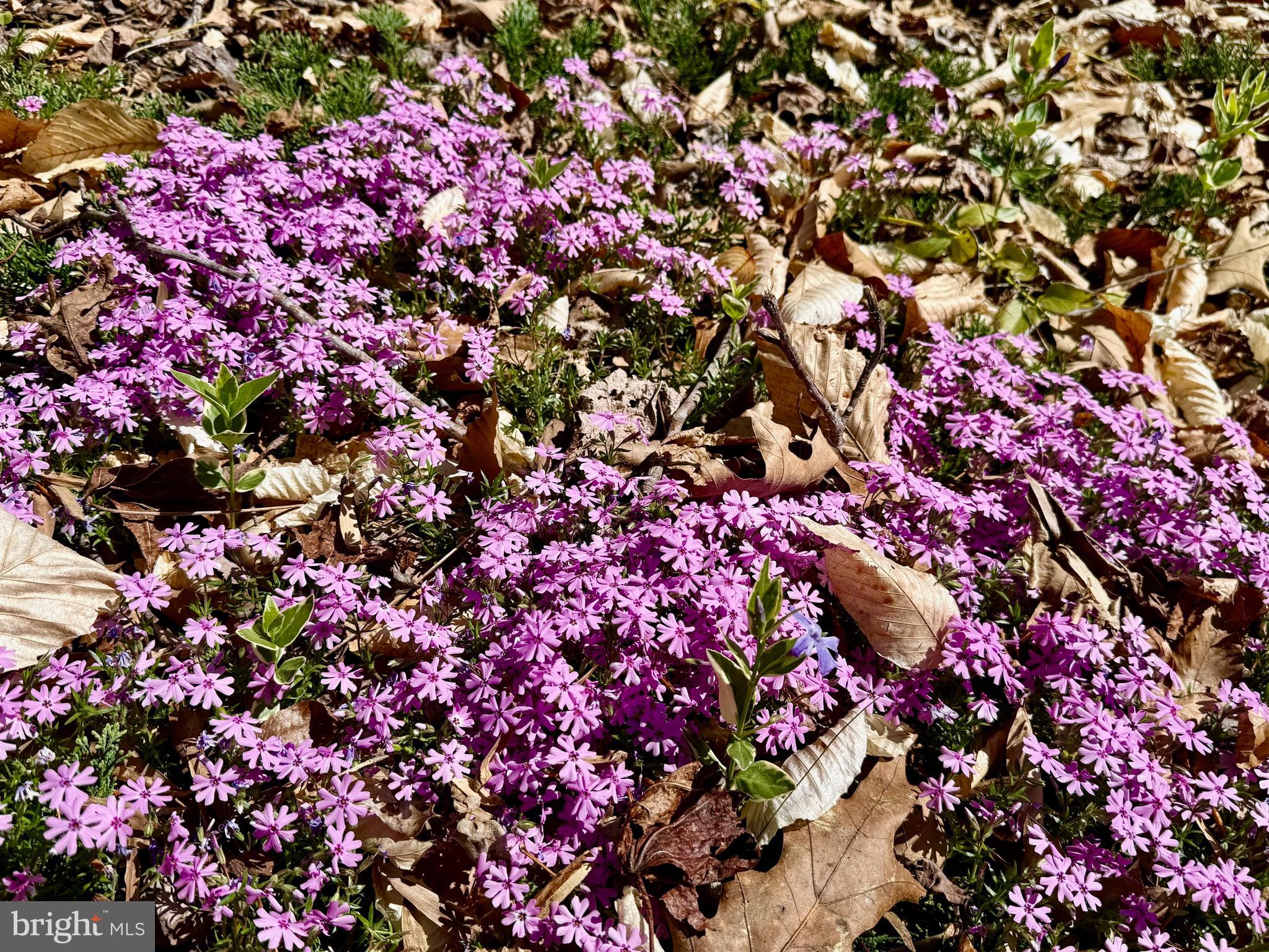 LAKE KARYLBROOK - Residential