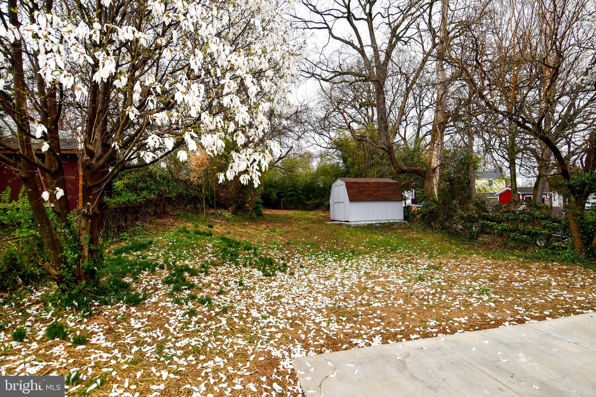 HOLLYWOOD - Residential