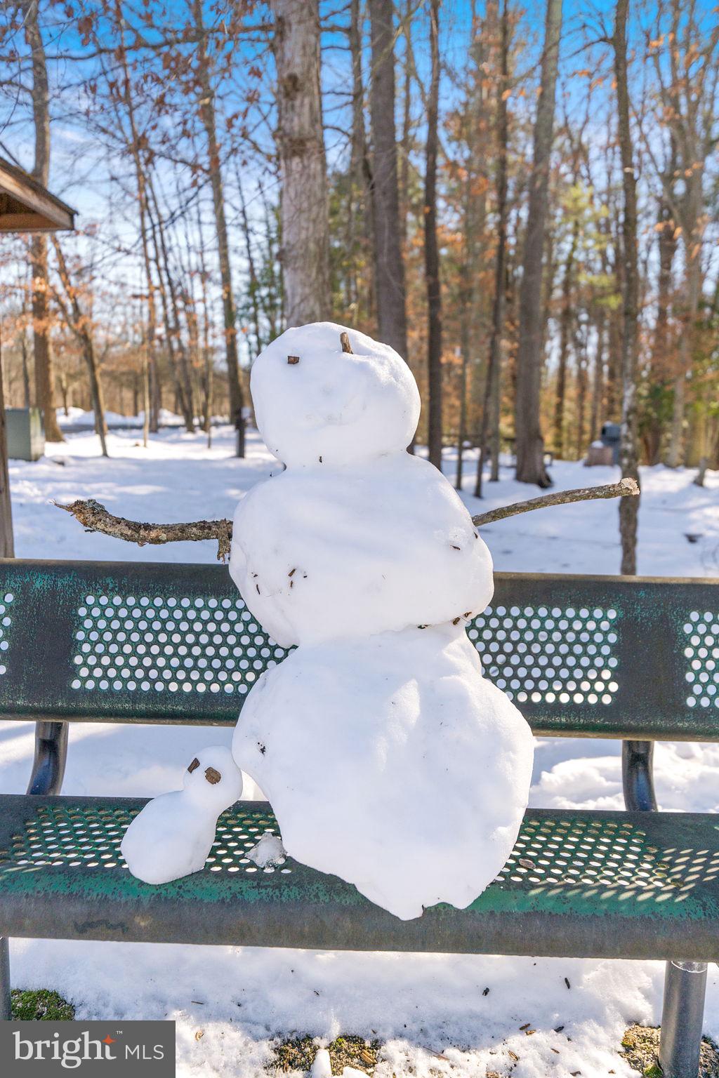 LAKE RIDGE - Residential