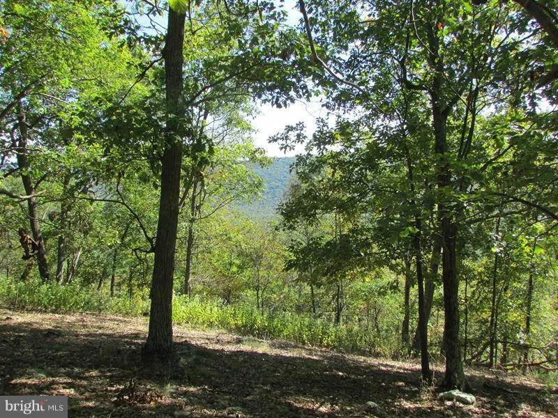 Additional image 2 of 188 Bluffs On The Potomac Ave, Romney, WV 26757