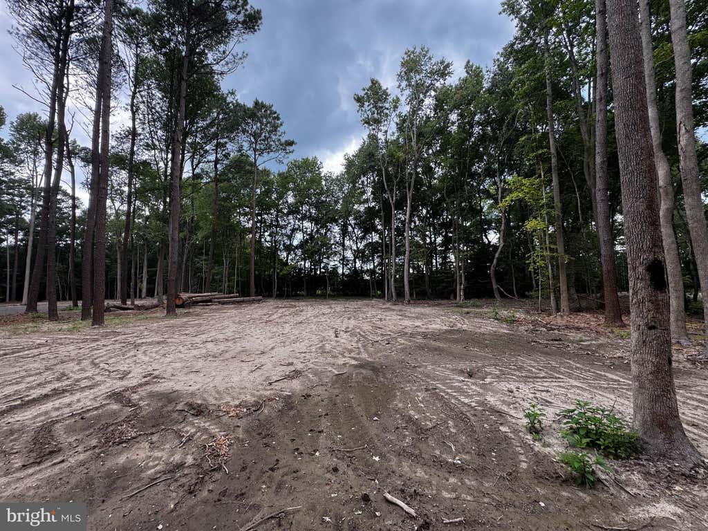 Photo of Lot 2 Wakely Place, MILTON, DE 19968 (MLS # DESU2117468)